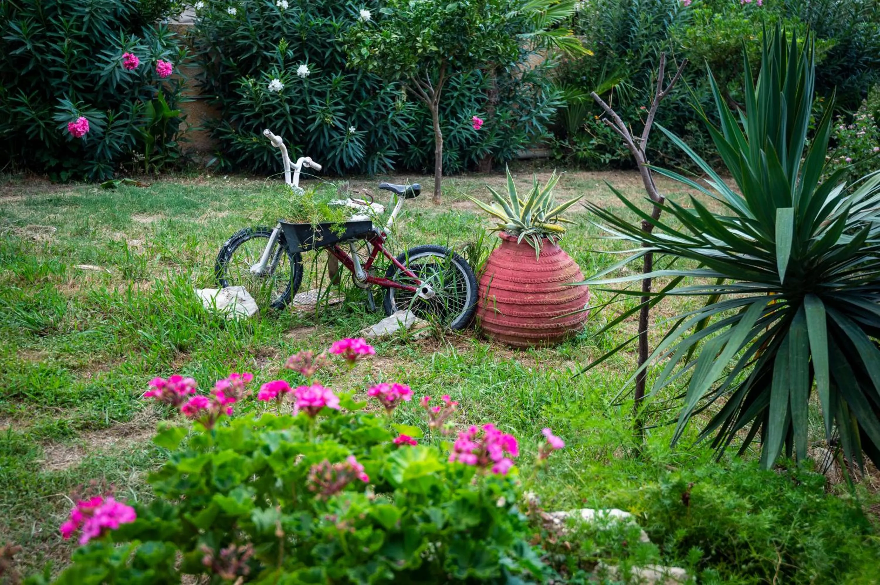 Garden in Hotel Agamemnon Beach