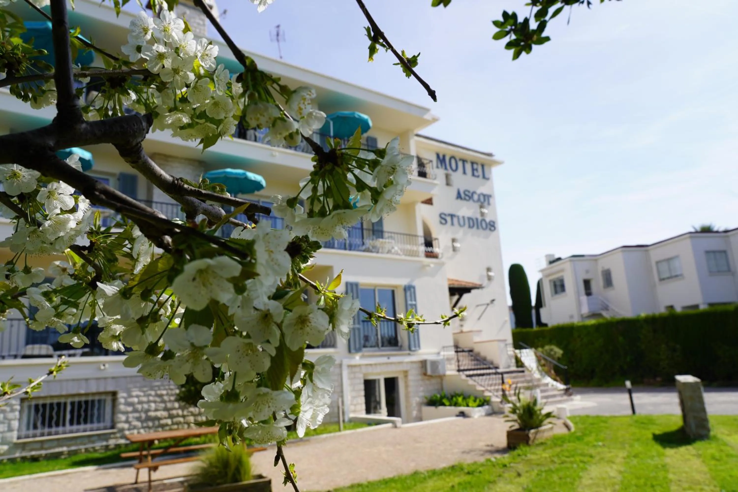 Facade/entrance in MOTEL ASCOT - Hotel & Appartements