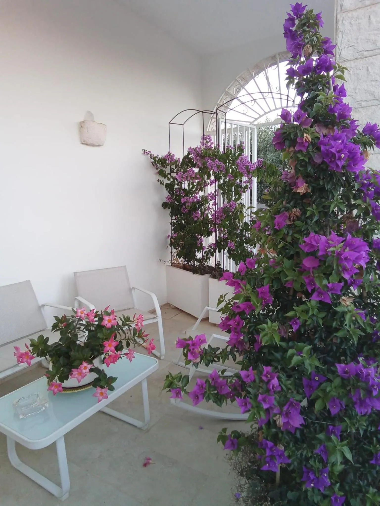 Patio in Dimora San Quirico - bed e breakfast - Cisternino