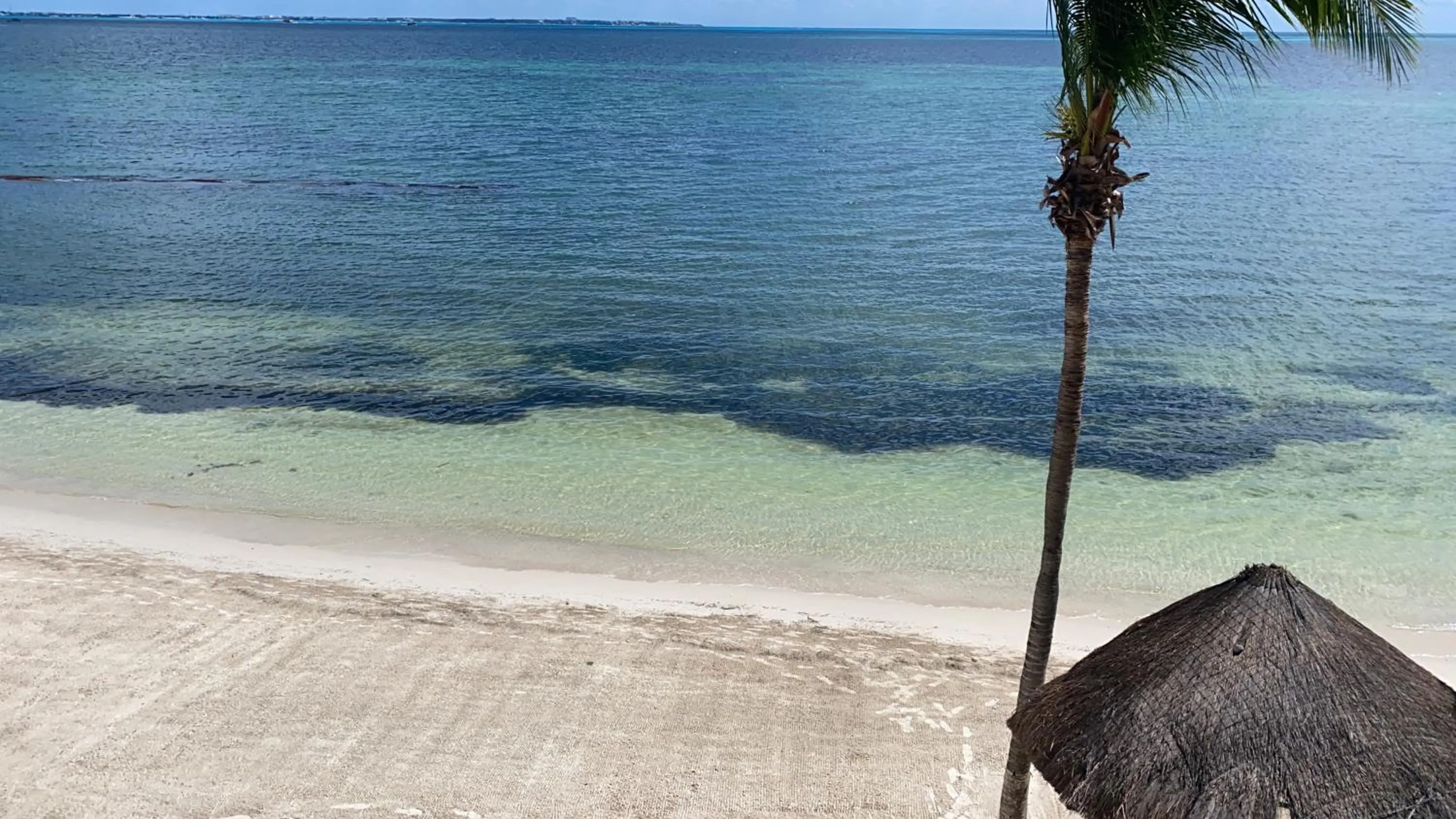 Beach in Tropical apartment