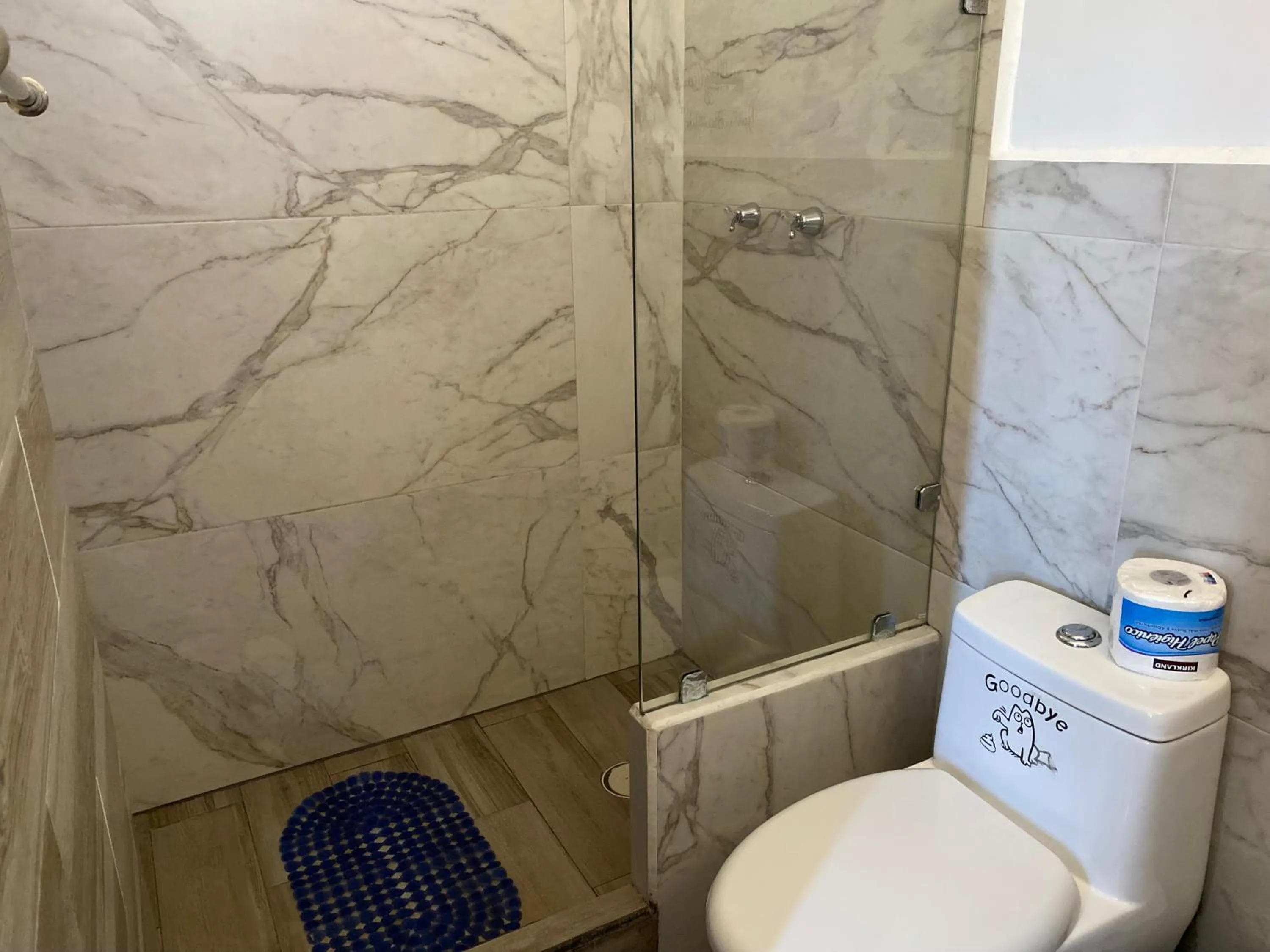 Toilet in Tropical apartment