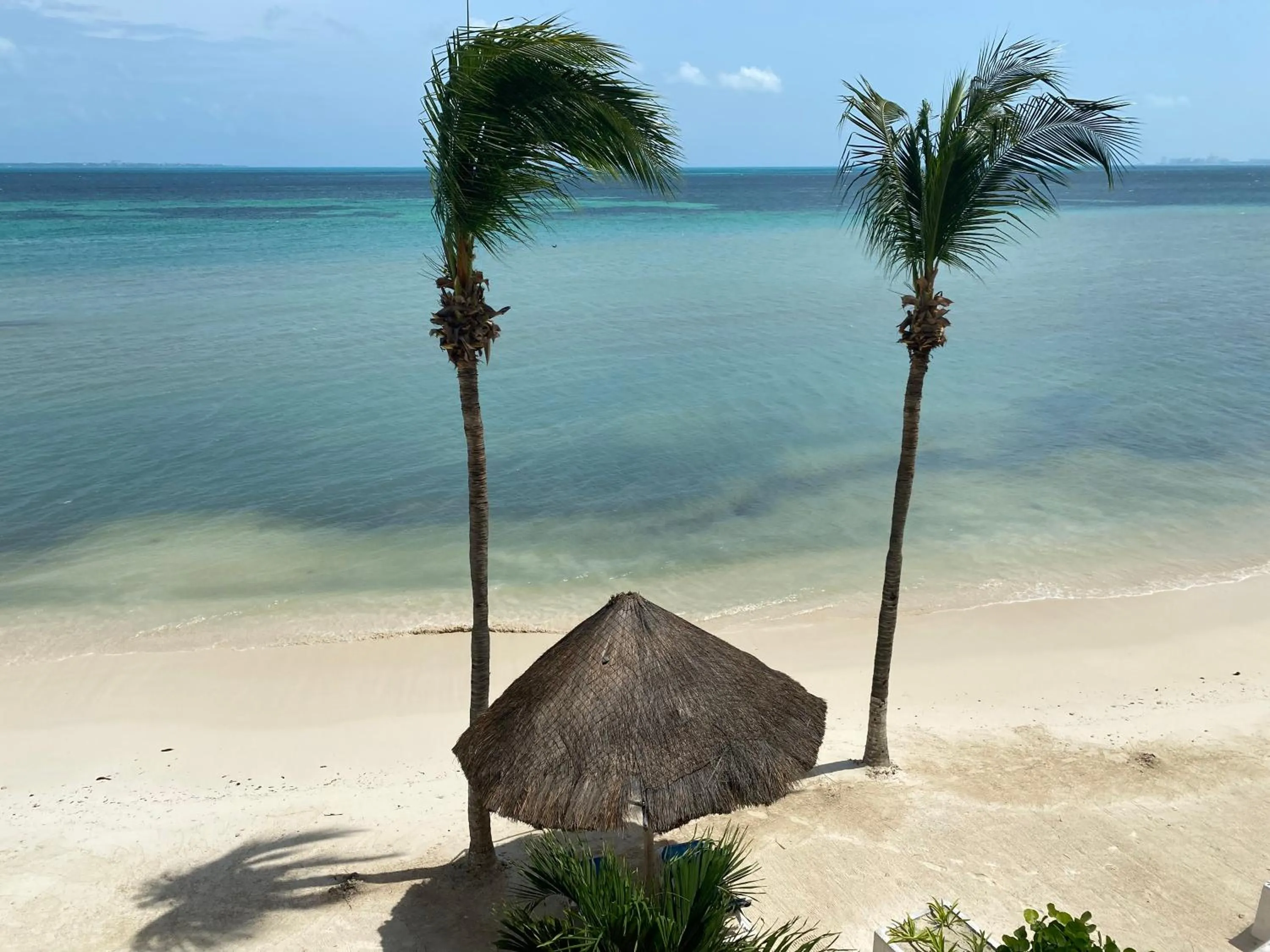 Beach in Tropical apartment