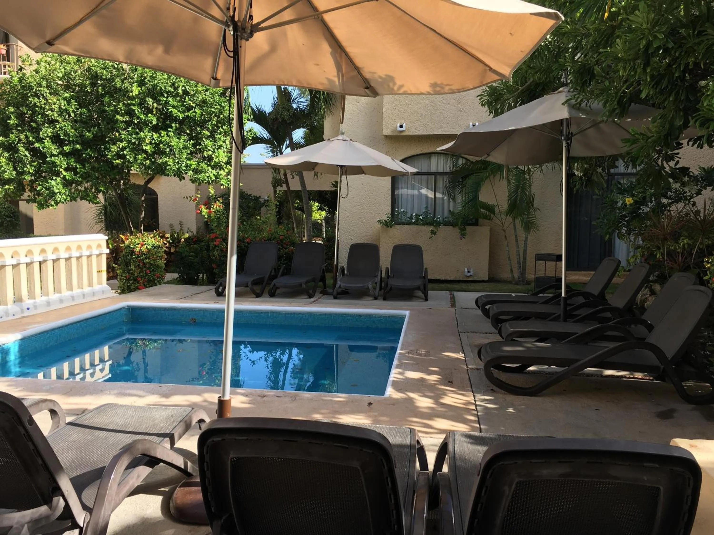 Swimming pool in Tropical apartment