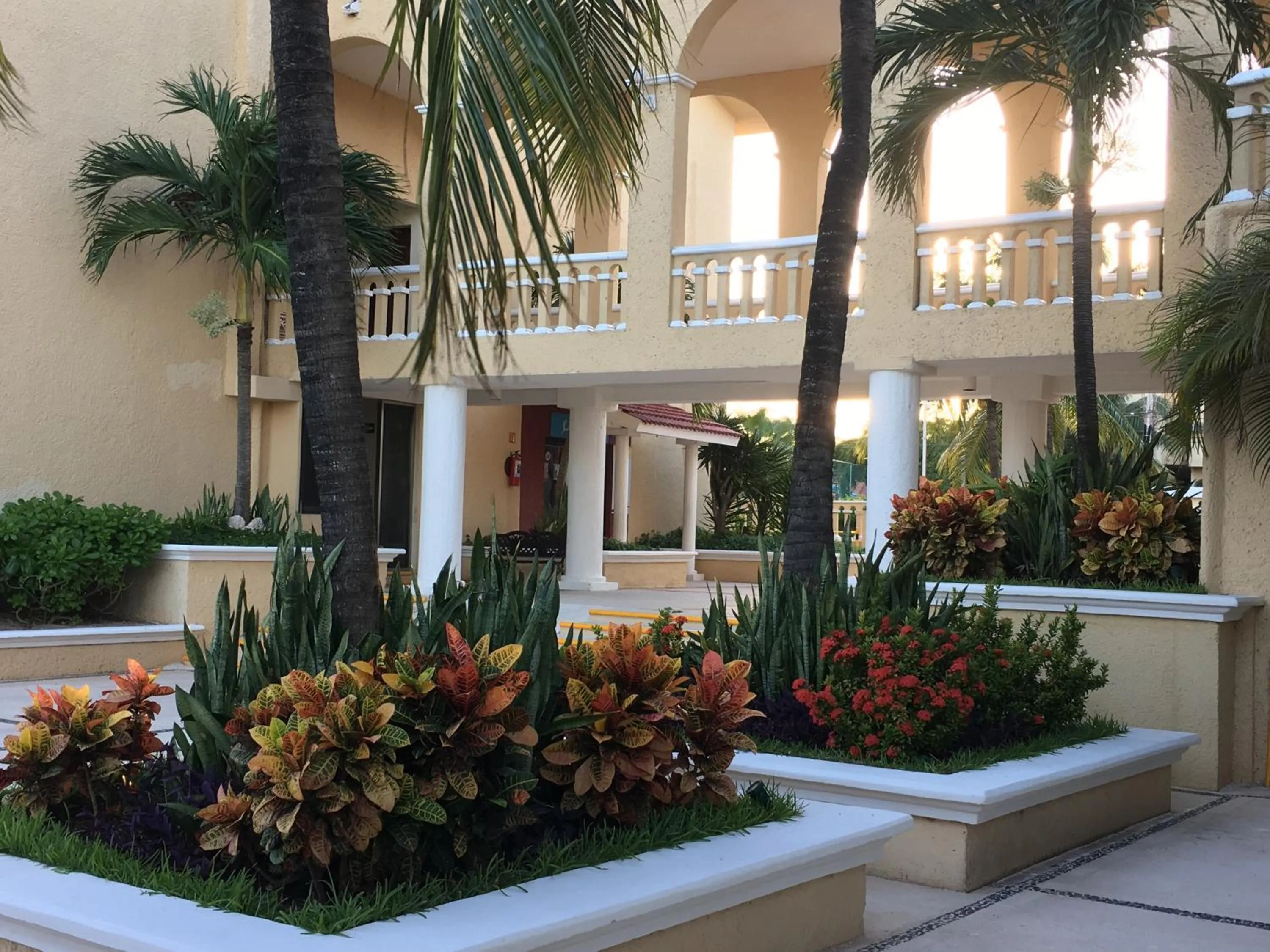 Garden in Tropical apartment