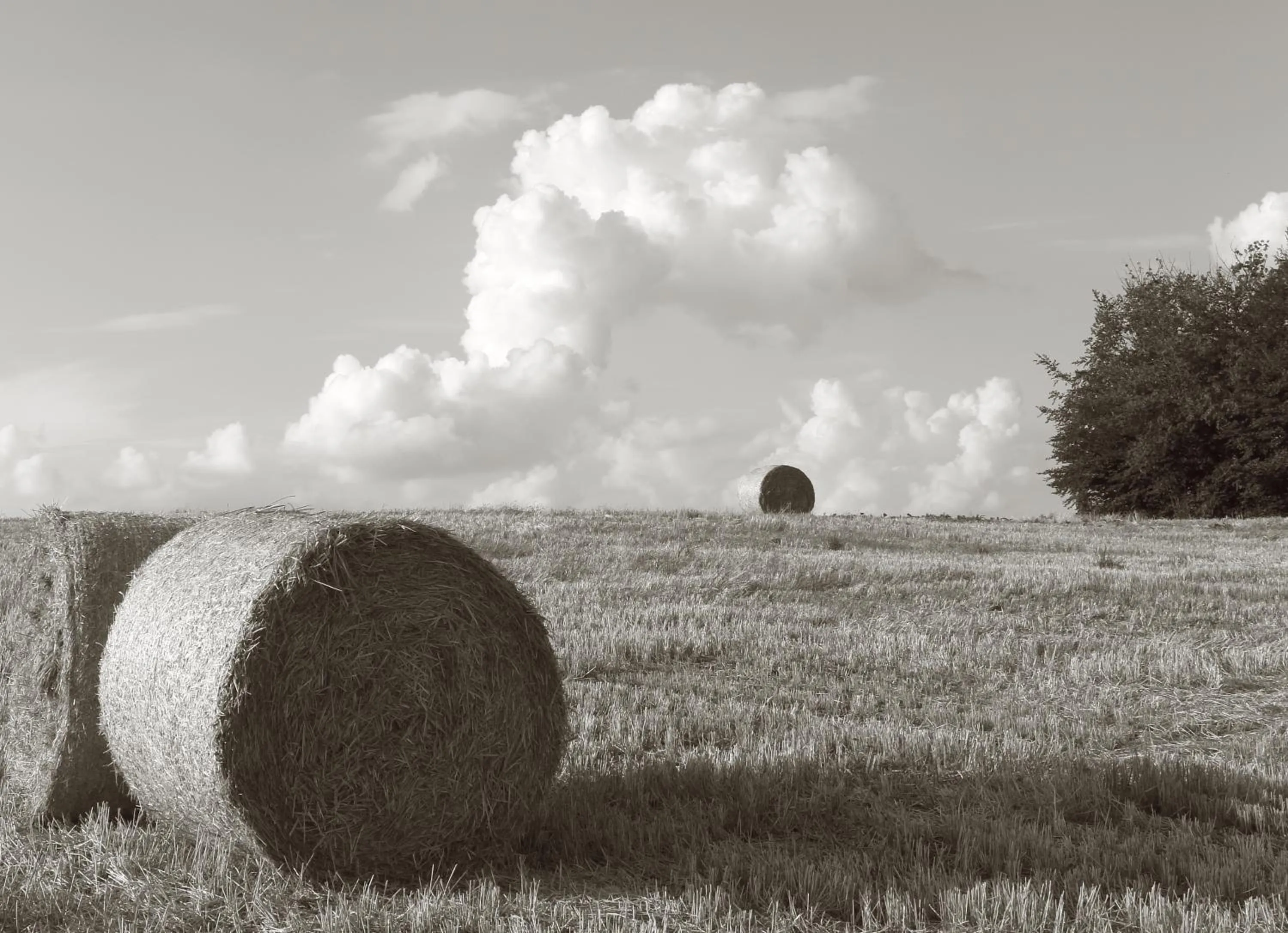 Natural landscape in Seegasthof Franz Bolz GBR