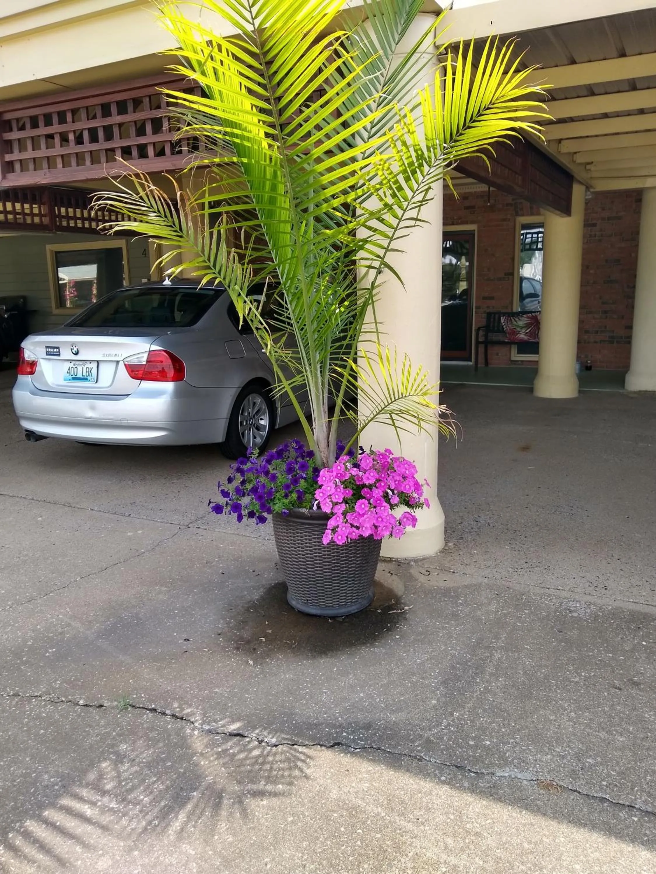 Facade/entrance in Southern Comfort Suites