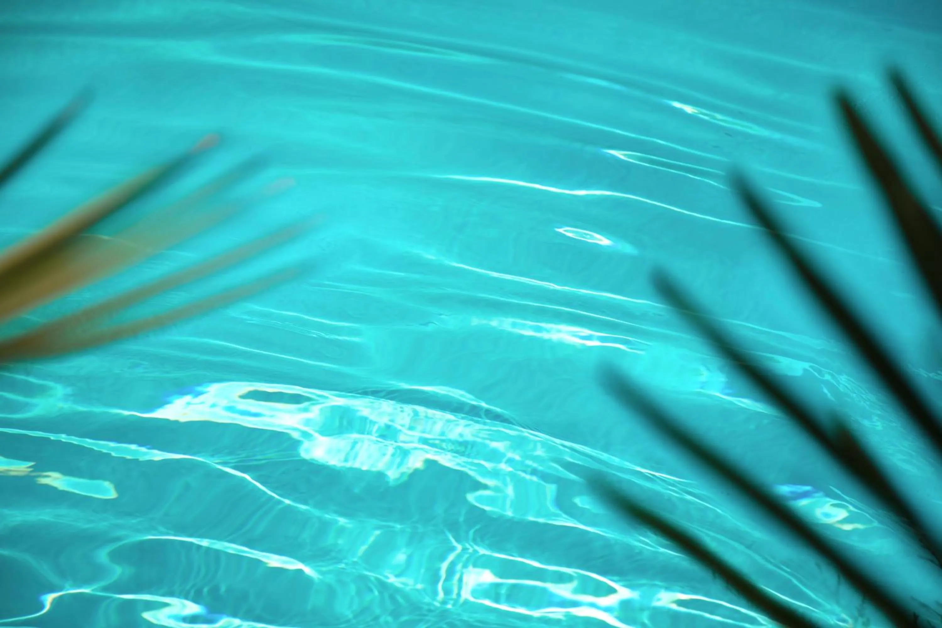 Natural landscape in Hotel Victoria Glion