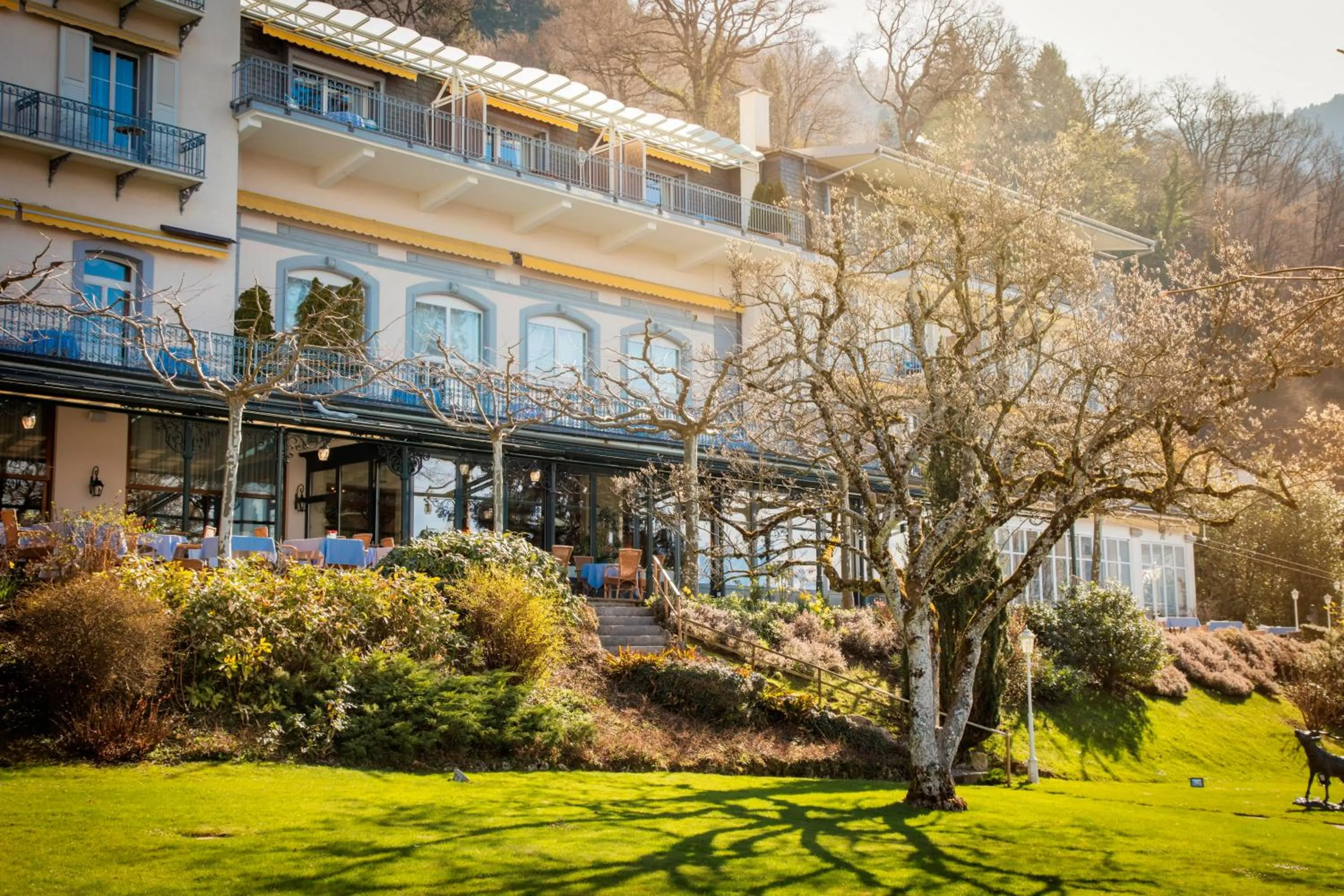 Natural landscape in Hotel Victoria Glion