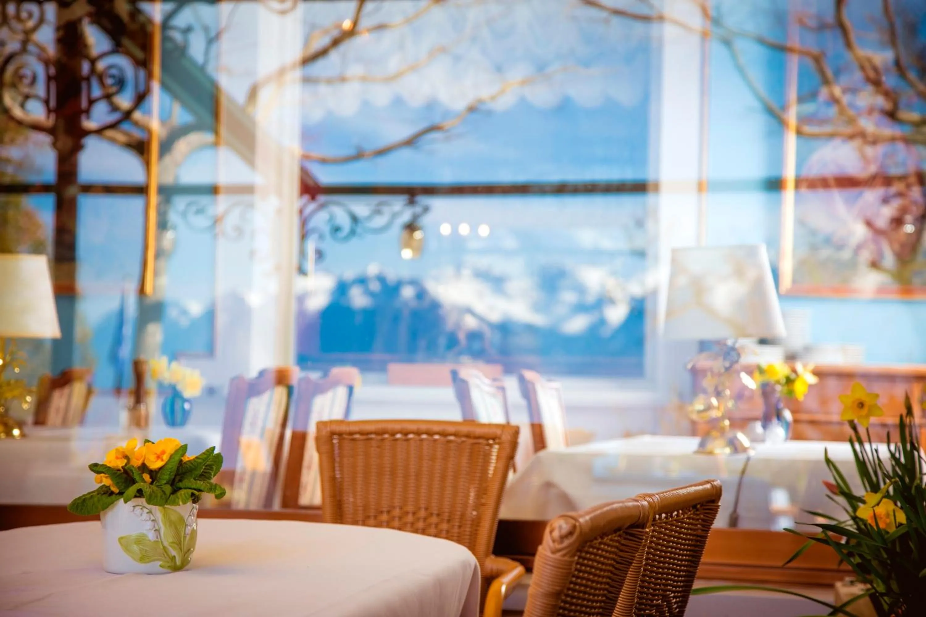 Natural landscape in Hotel Victoria Glion