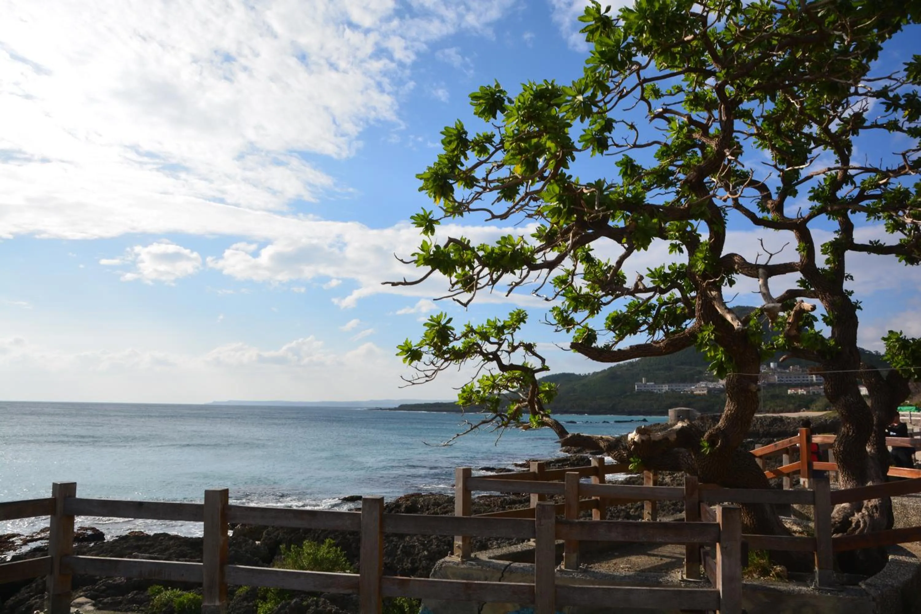 Natural landscape in Funson Hotel
