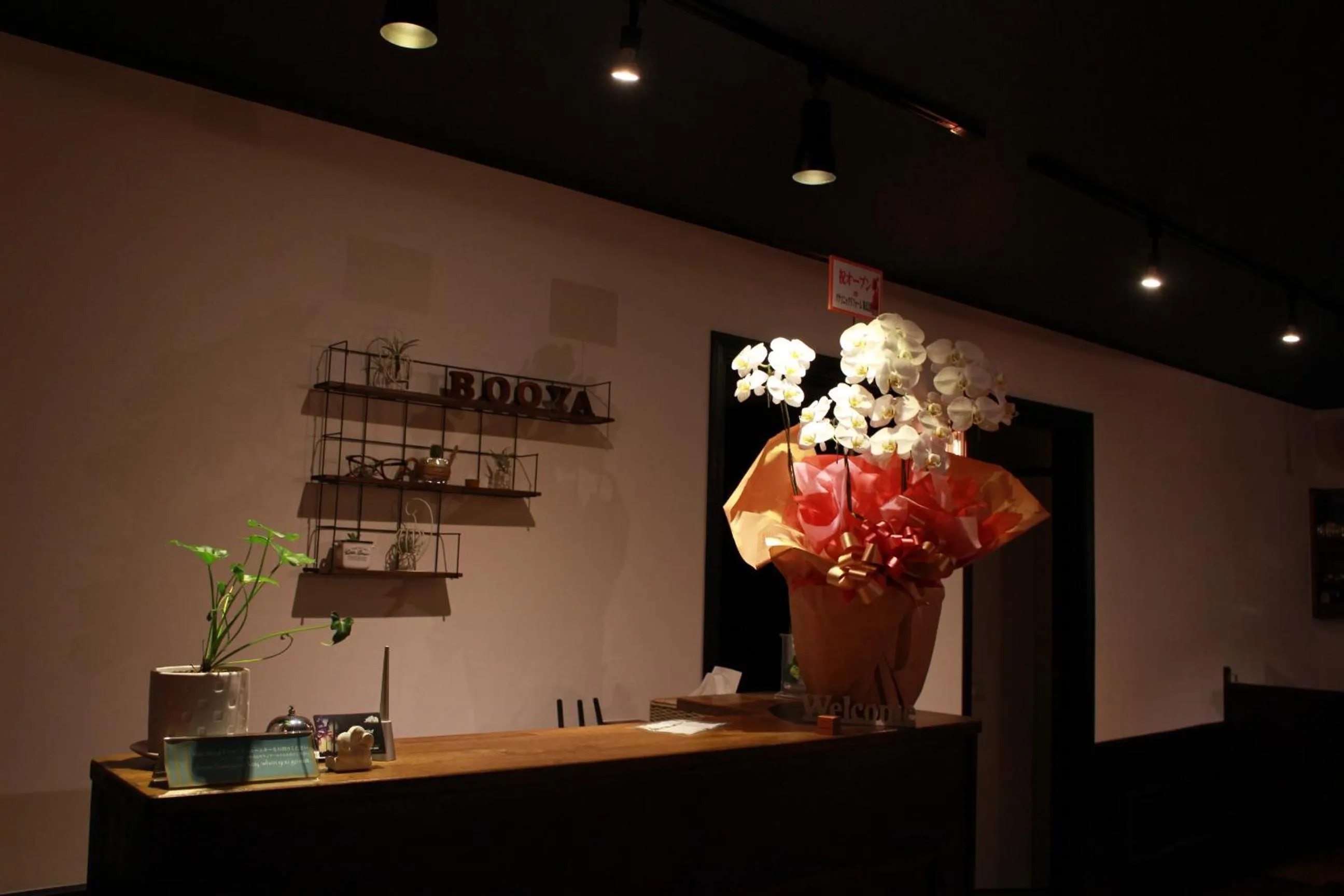 Lobby or reception in Nangoku Lodge Booya