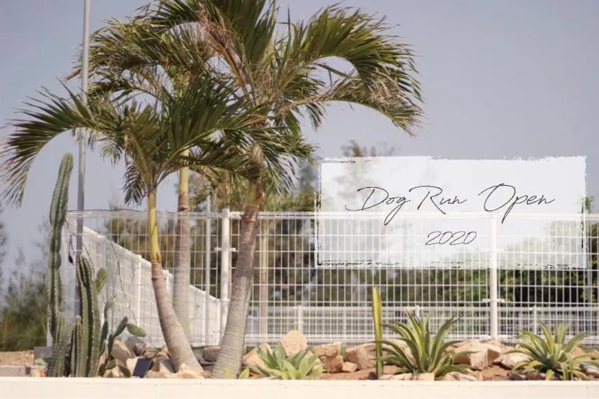 Garden in Nangoku Lodge Booya