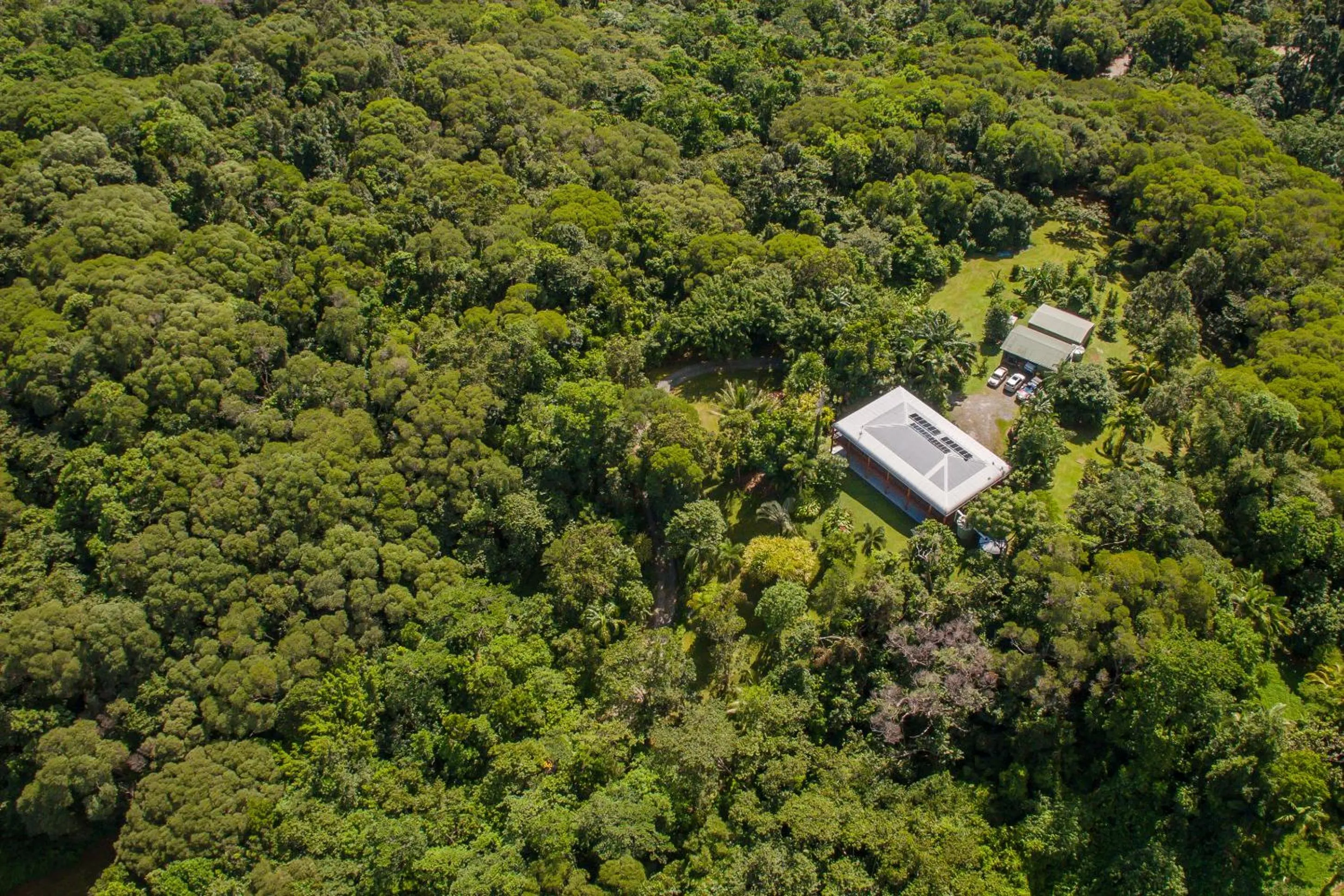 Property building in Daintree Manor B&B