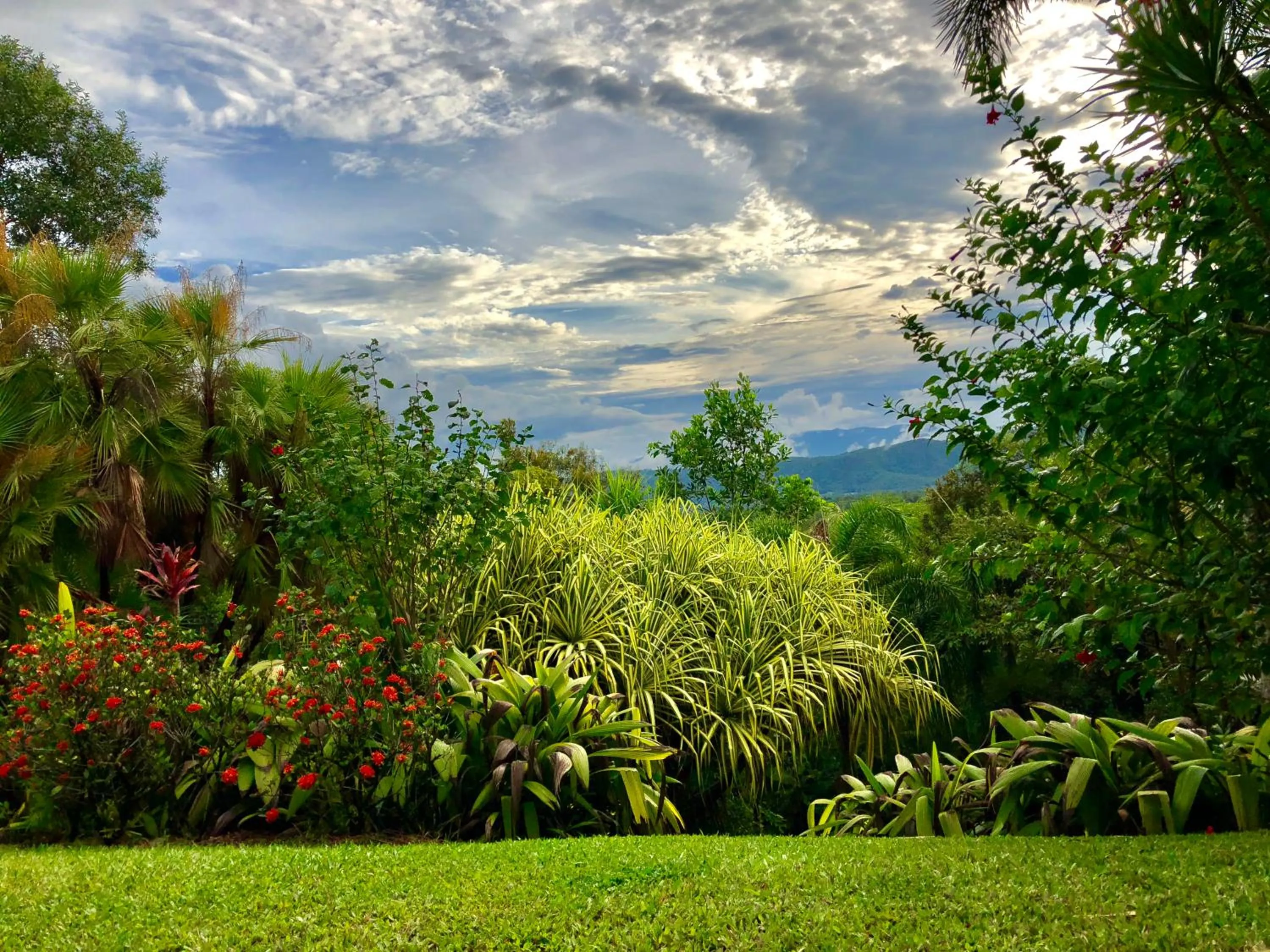 View (from property/room) in Daintree Manor B&B