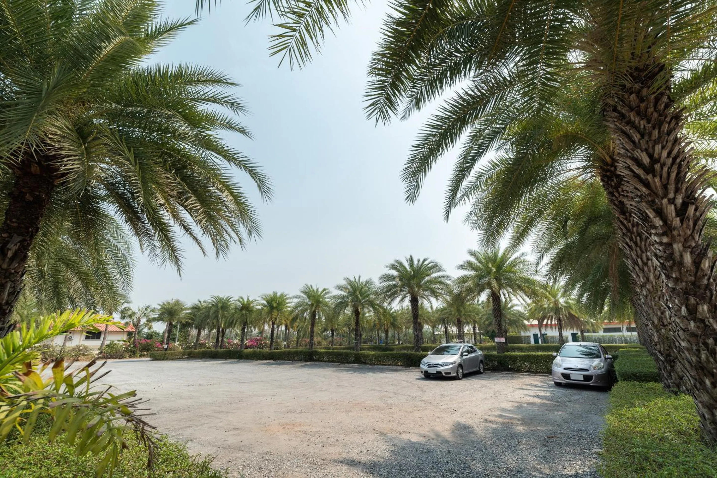 Bedroom in Capital O 805 Suan Palm Farm Nok Resort