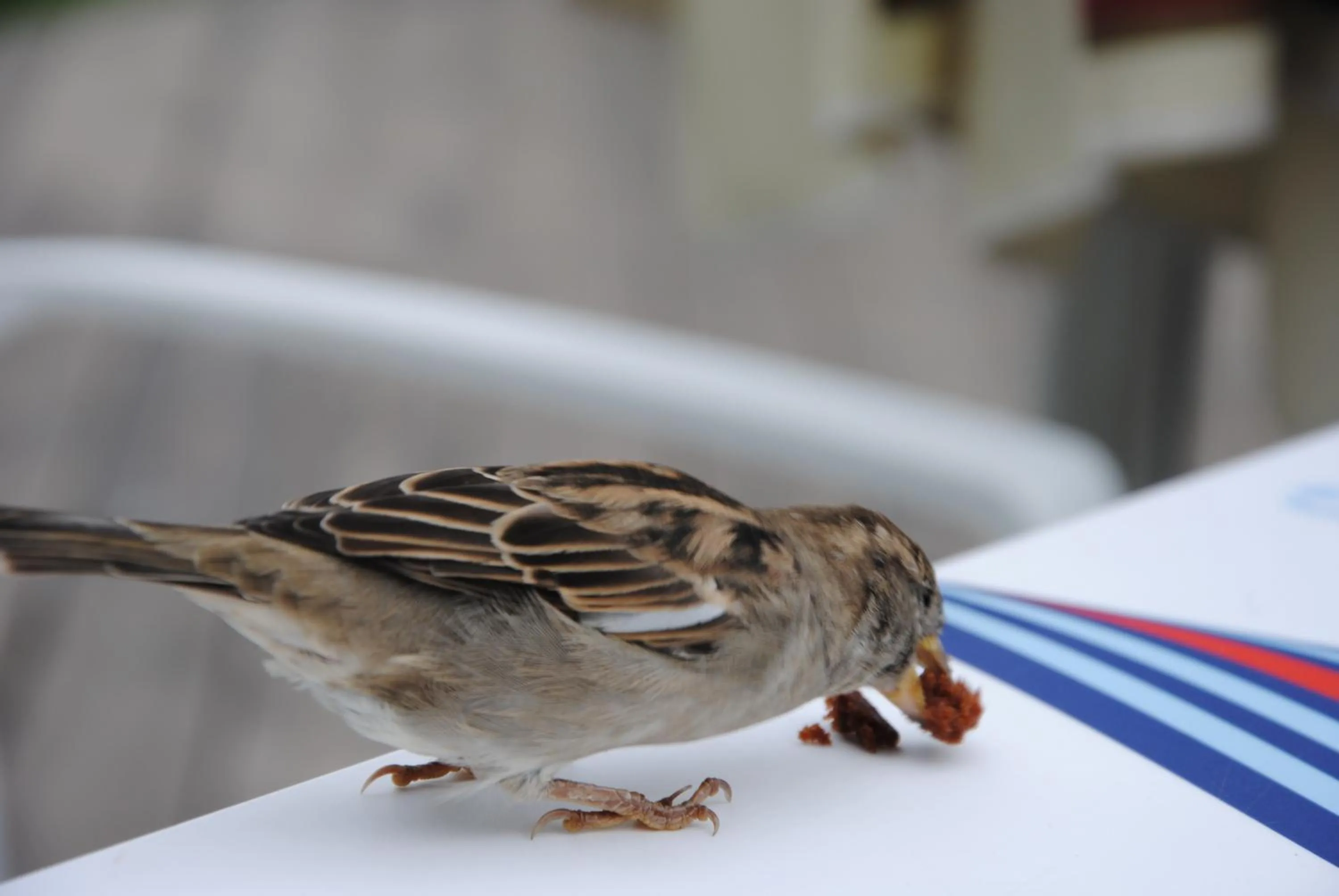 Natural landscape in Omega Jantar