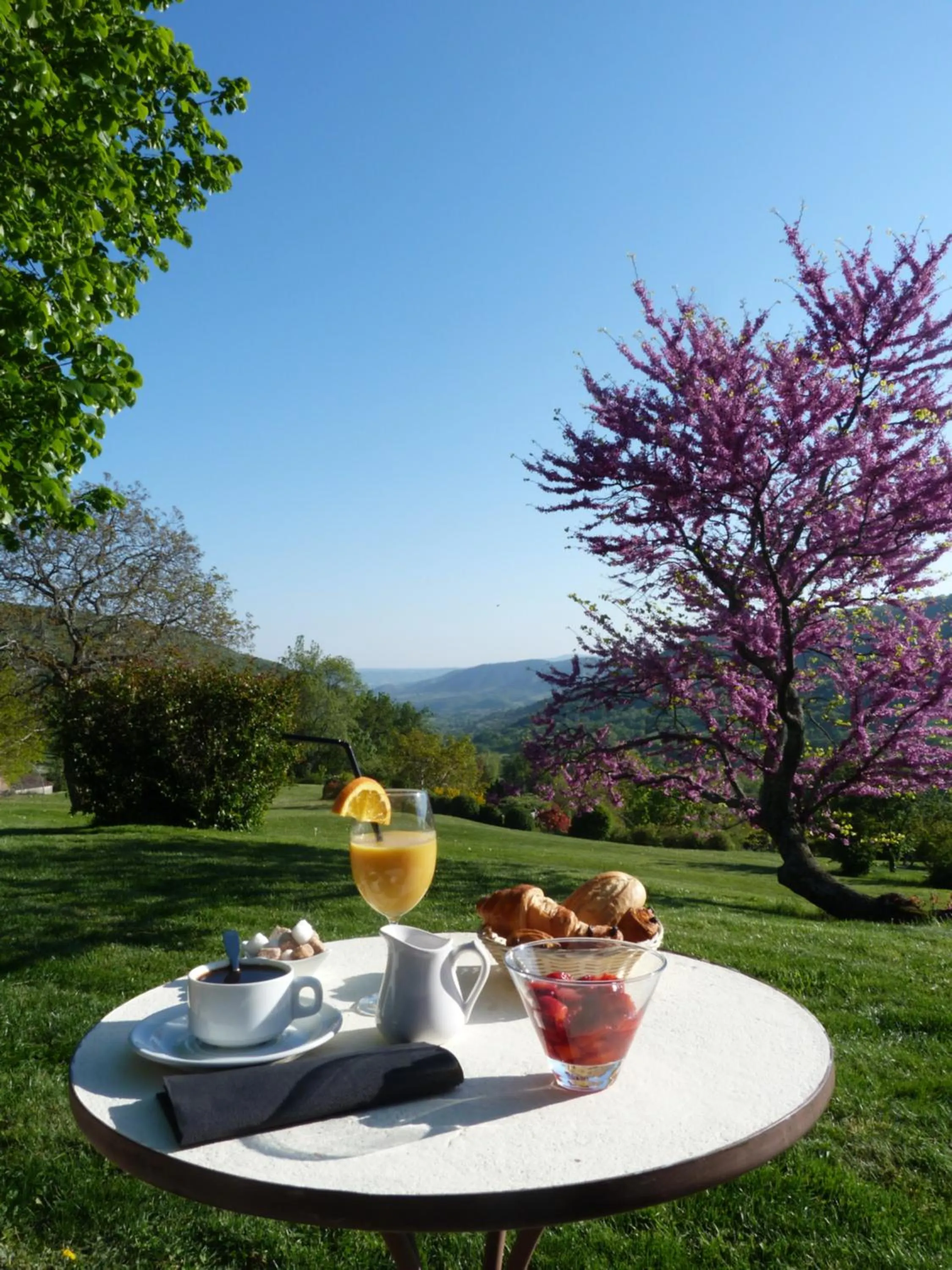 Balcony/Terrace in Logis Hôtel-restaurant La Mère Biquette