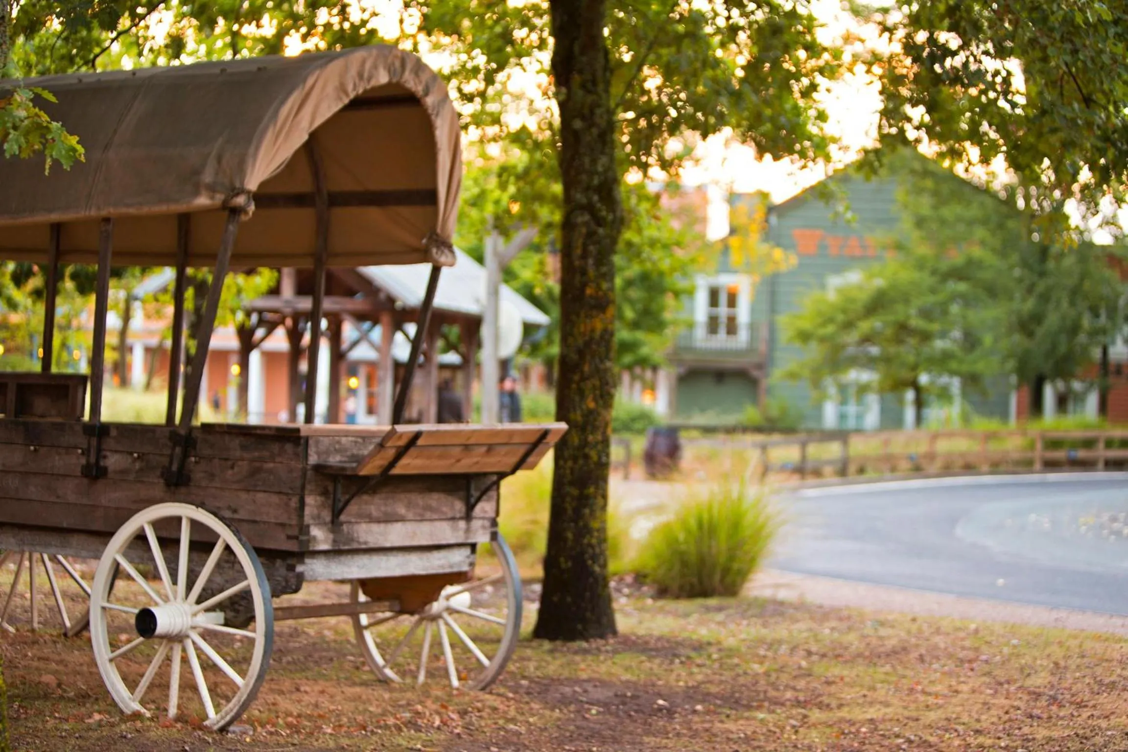 Decorative detail in Disney Hotel Cheyenne