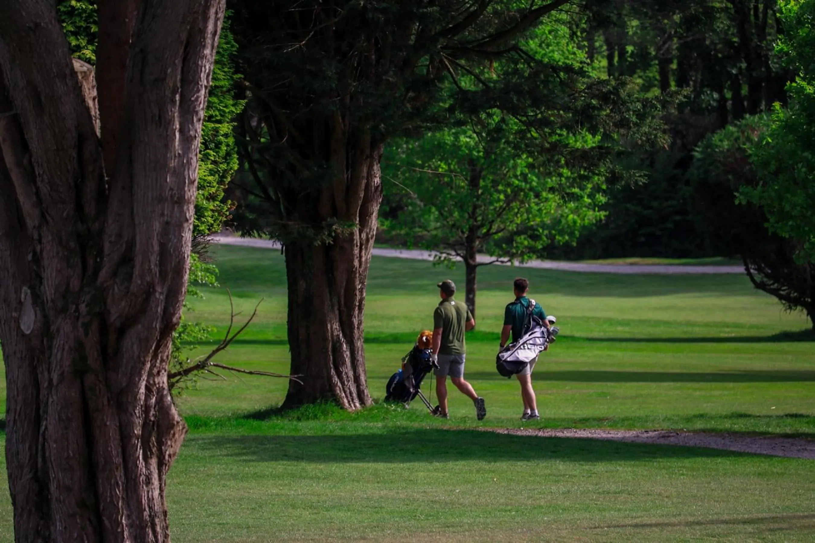 Golfcourse in Elfordleigh Hotel