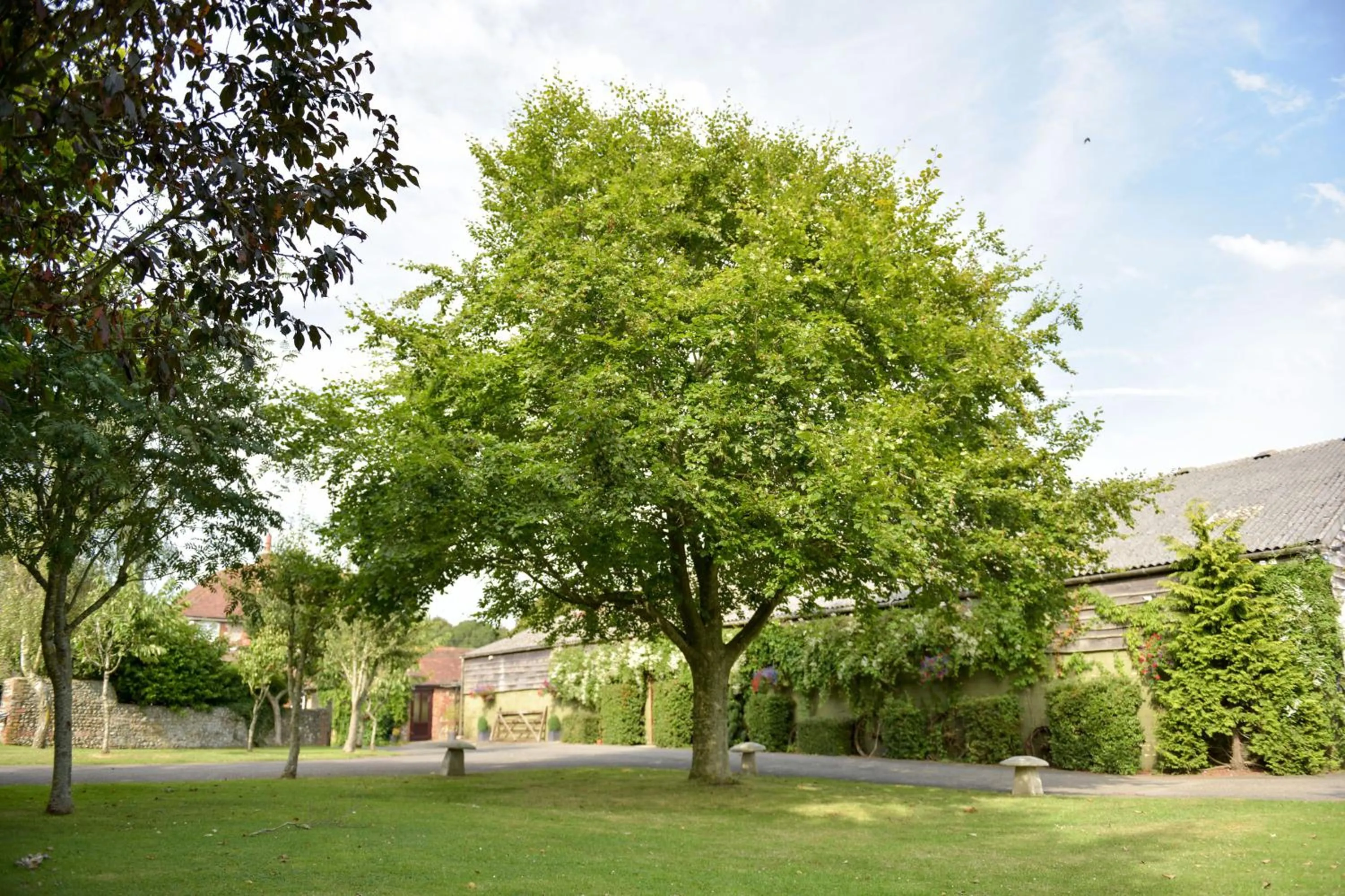 Garden in Old Selden Farm B&B