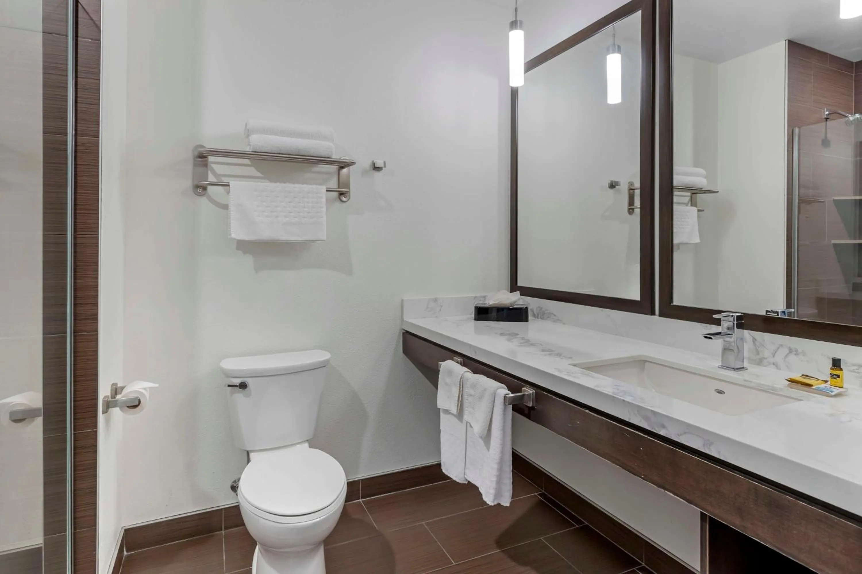 Bathroom in Best Western Plus Peppertree Nampa Civic Center Inn