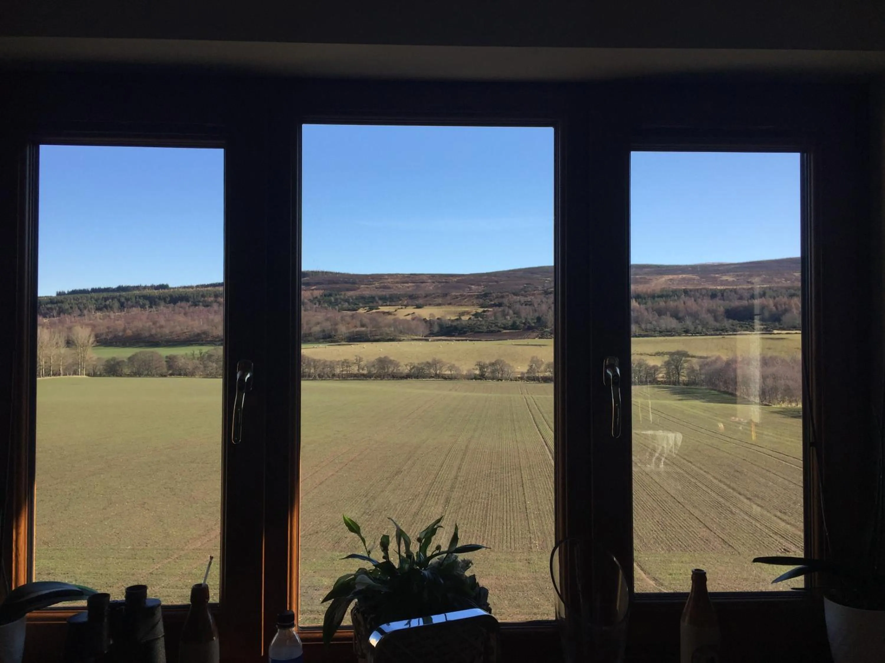 On site in Doura Lodge