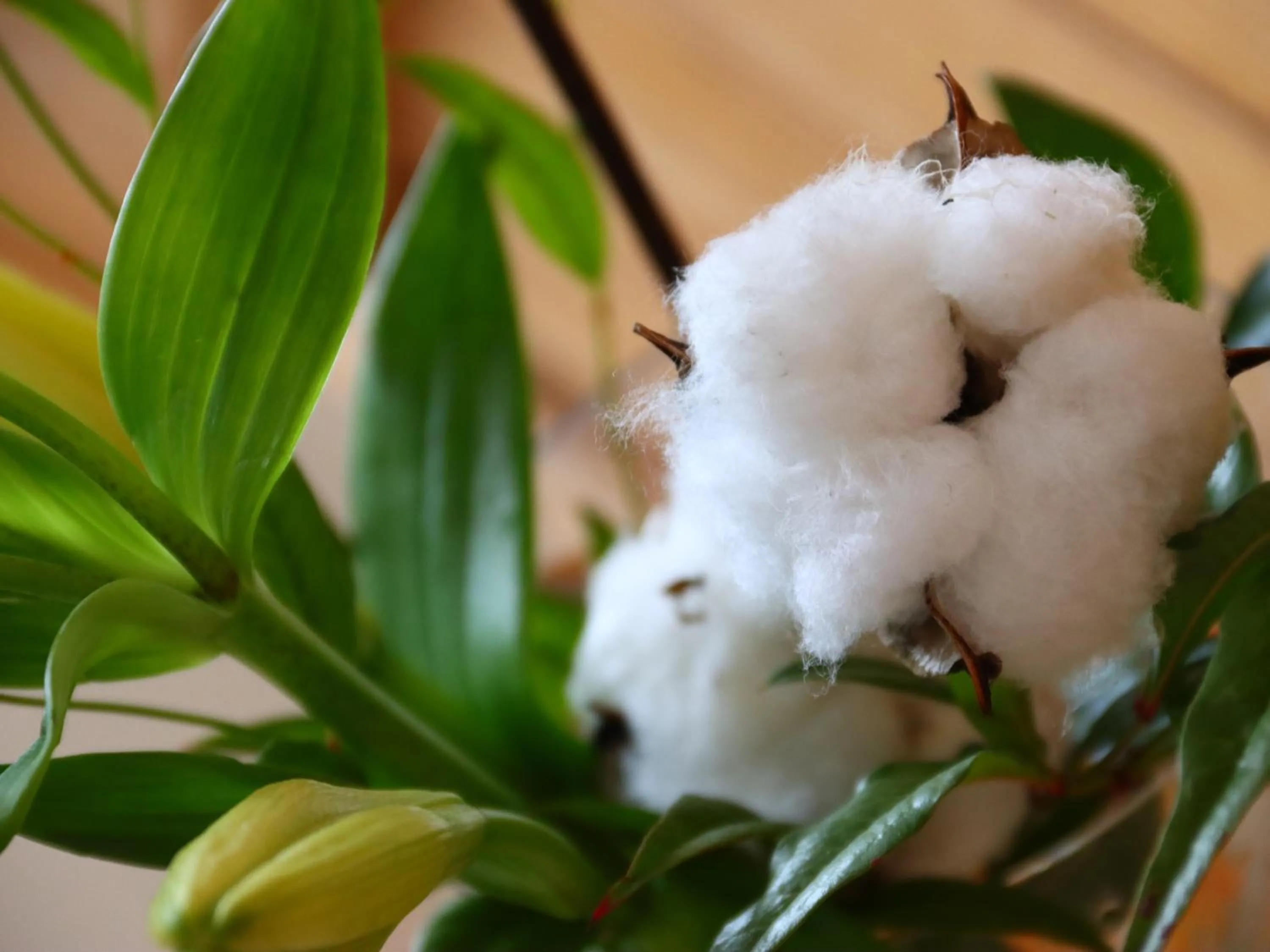 Area and facilities in Yokokura Ryokan