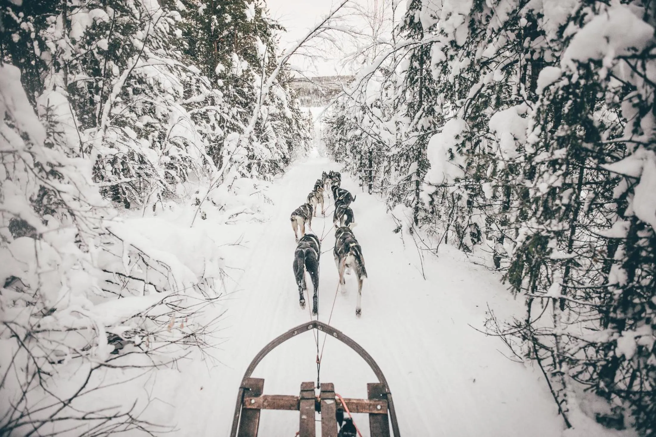 Activities in IceHotel