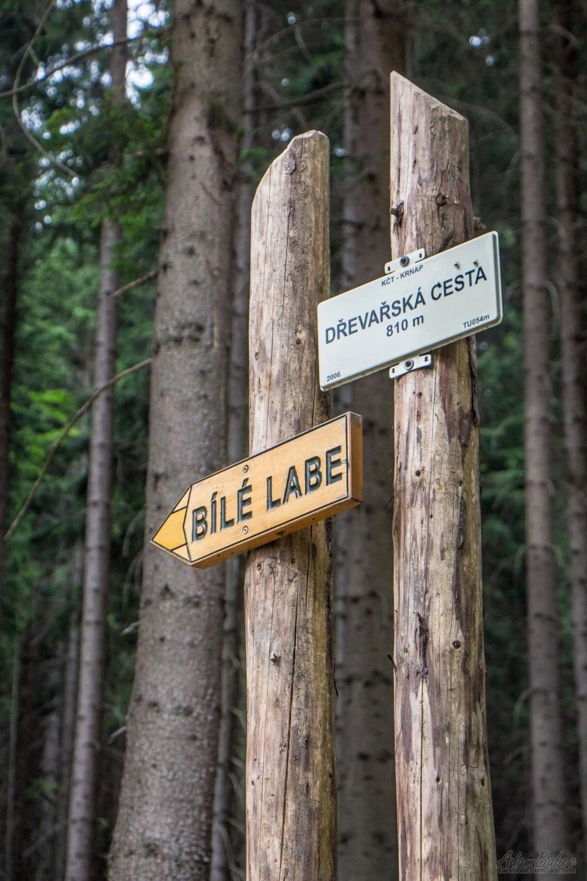 Hiking in Hotel Horní Pramen