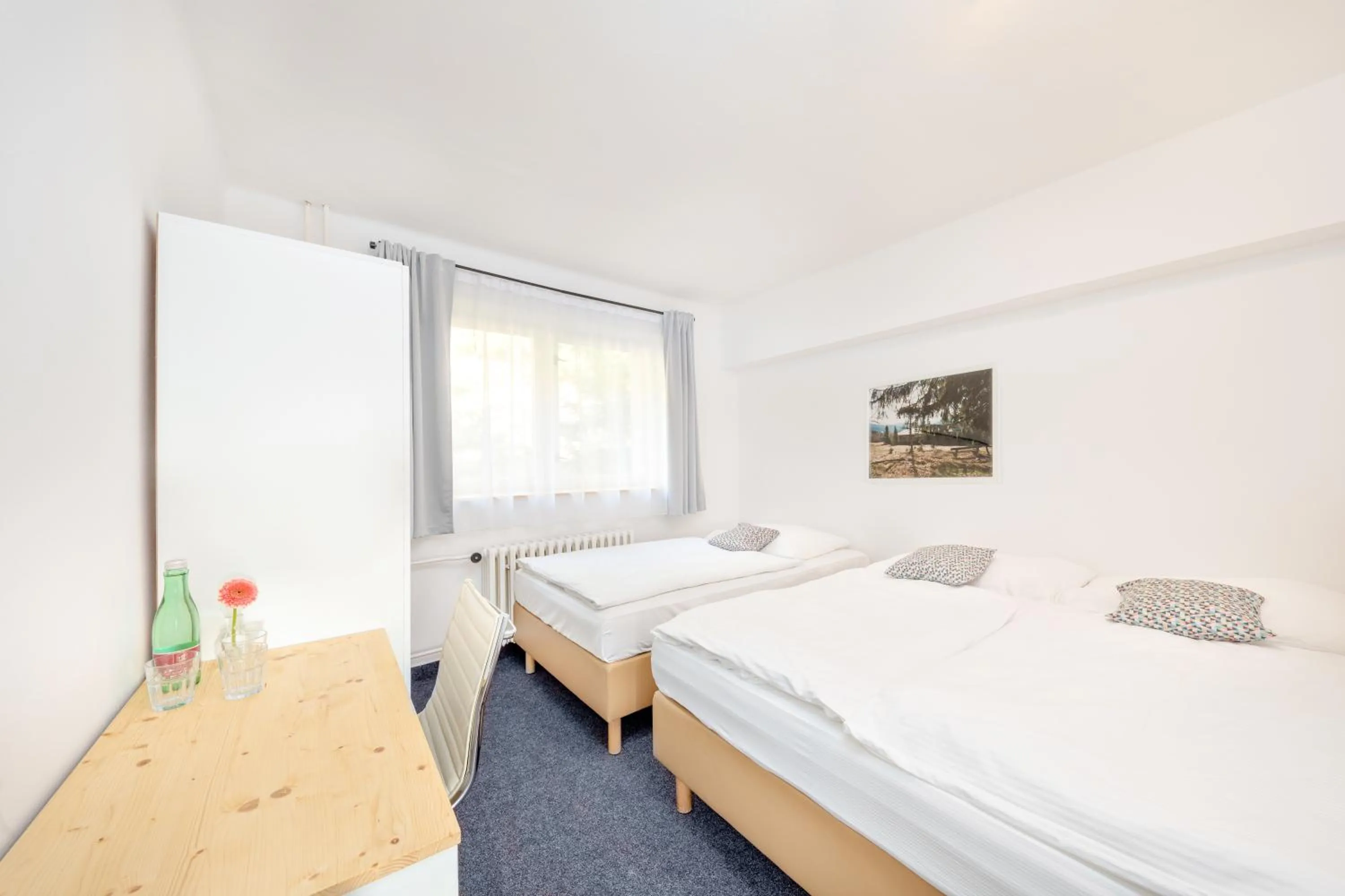 Bed in Hotel Horní Pramen