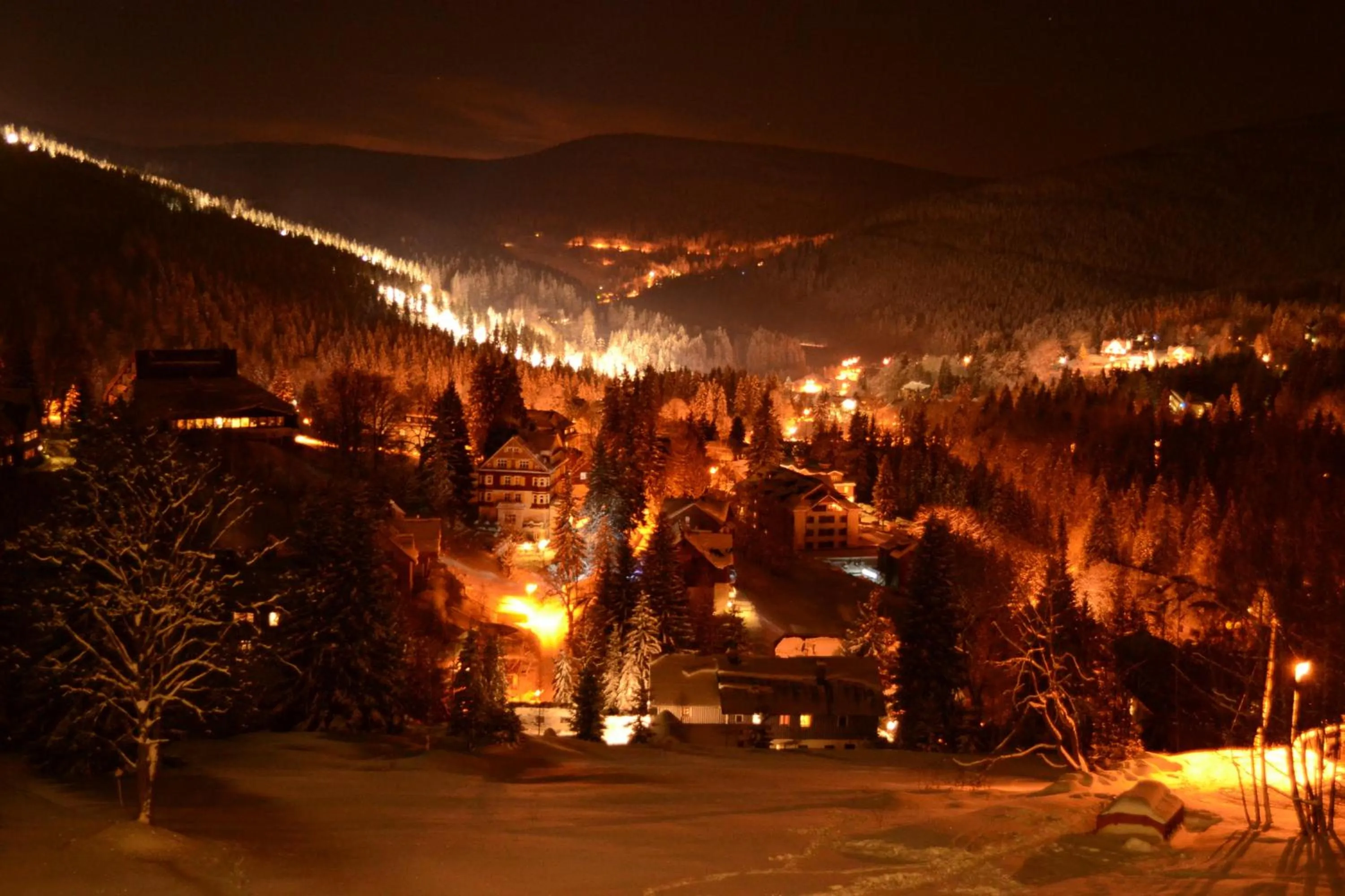 View (from property/room) in Hotel Horní Pramen