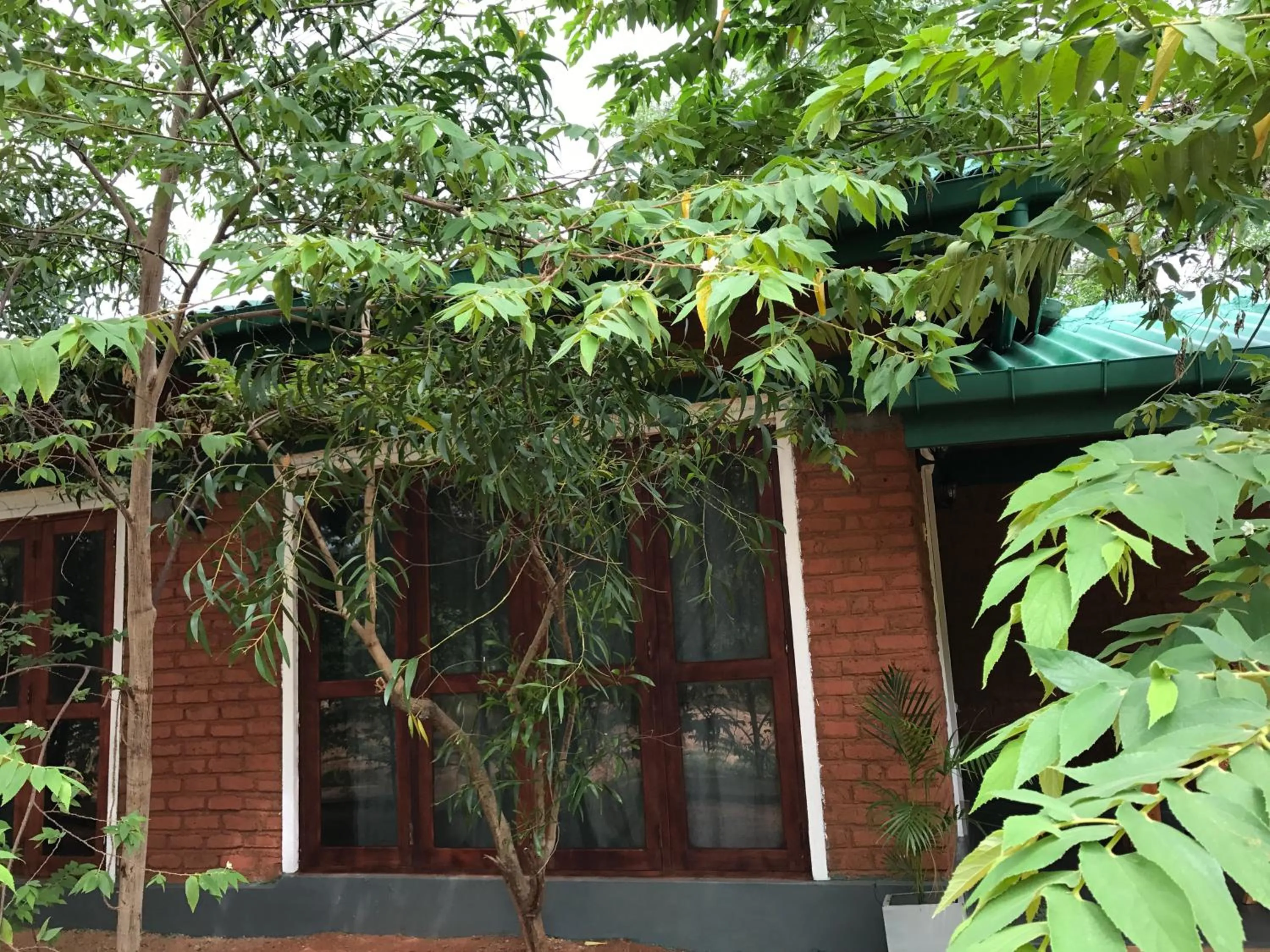 Property building in Sunshine Resort & Spa Sigiriya