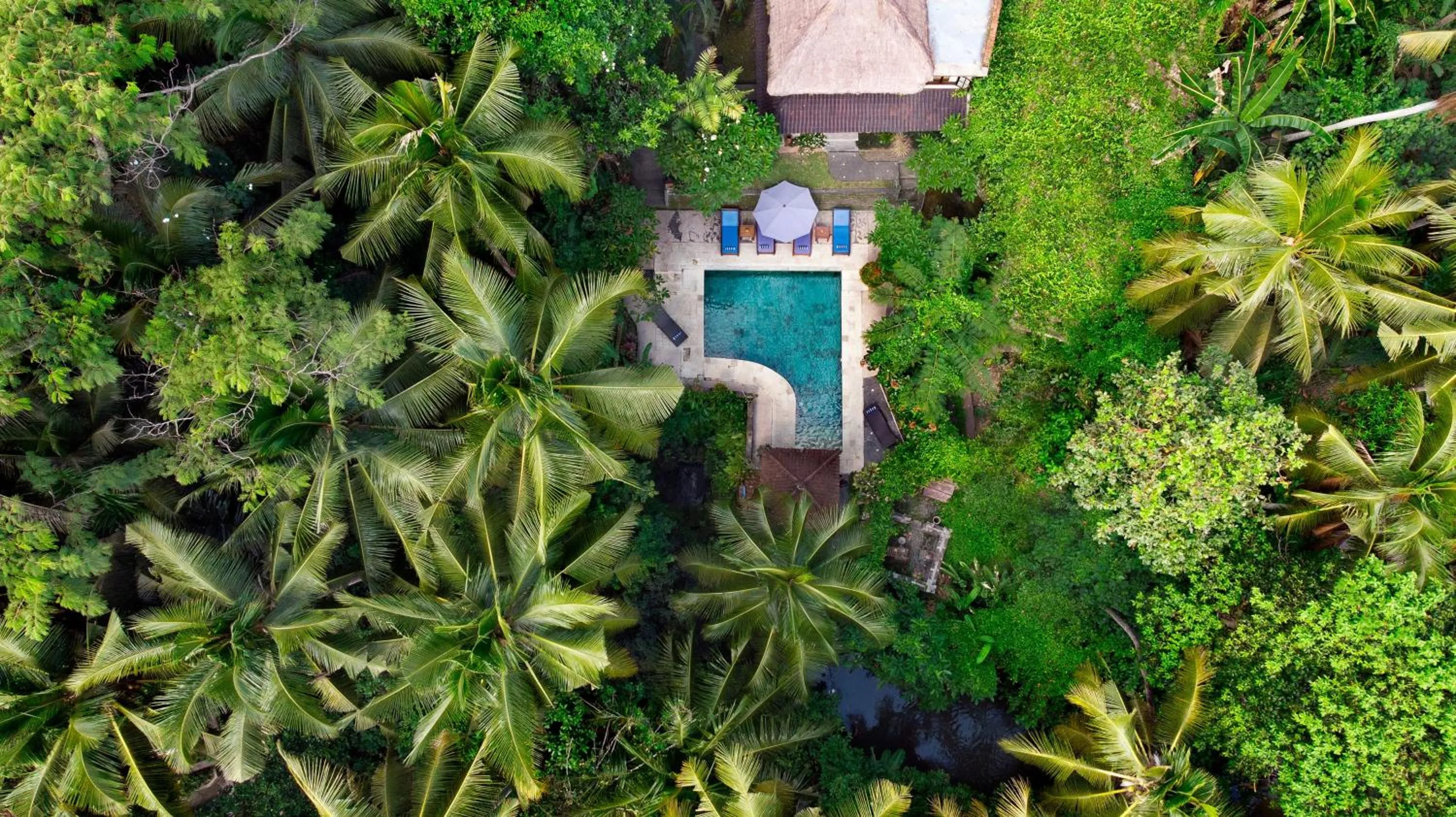 Bird's eye view in Kebun Indah Ubud