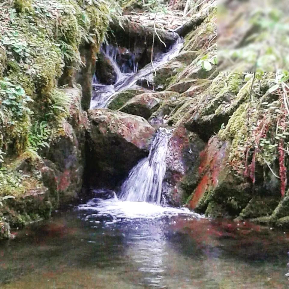 Fishing in Can Gasparó HotelRural&Restaurant
