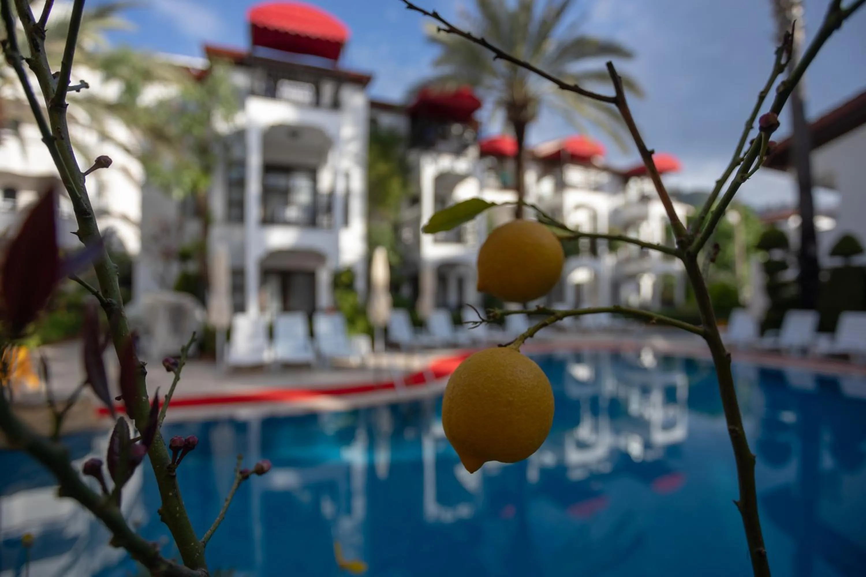 Pool view in Mitos Apartments