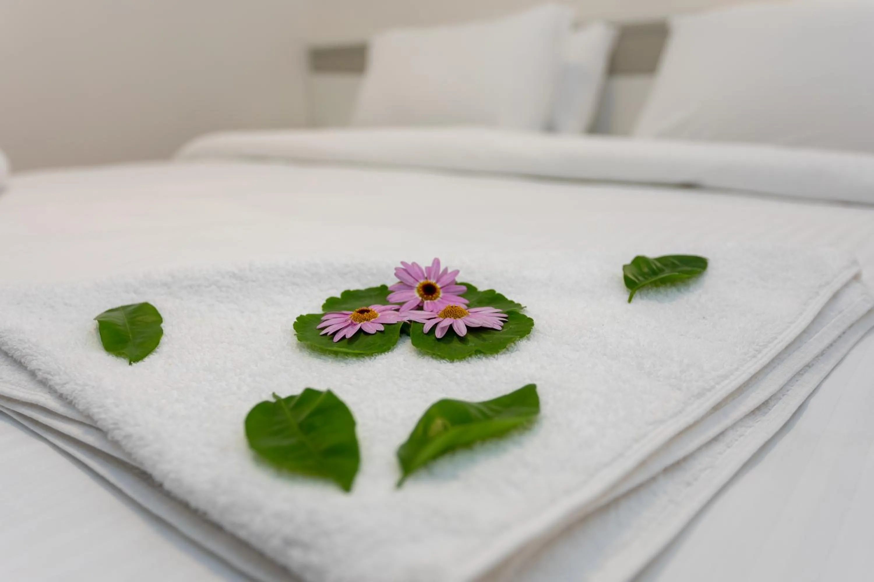 Bed in Mitos Apartments