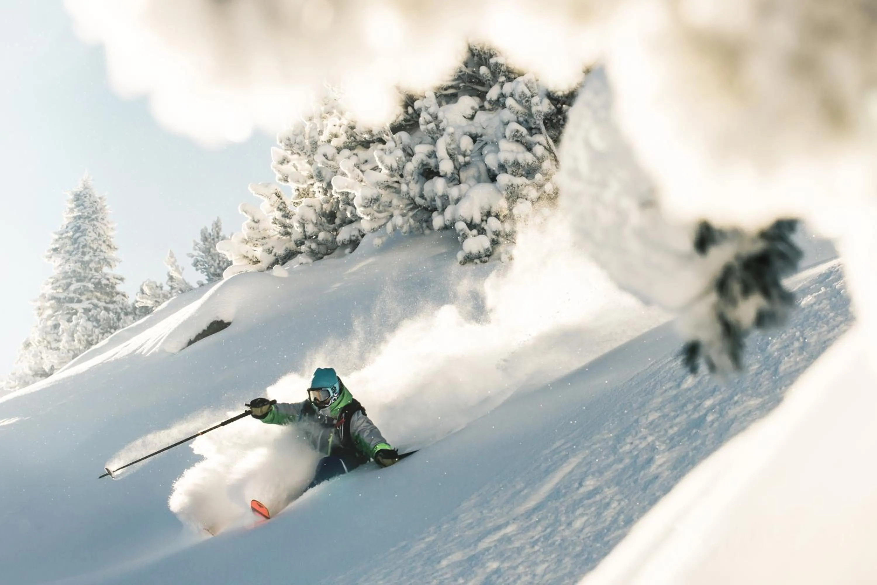 Skiing in Pension der Steinbock - das 300 Jahre alte Bauernhaus - TIROL