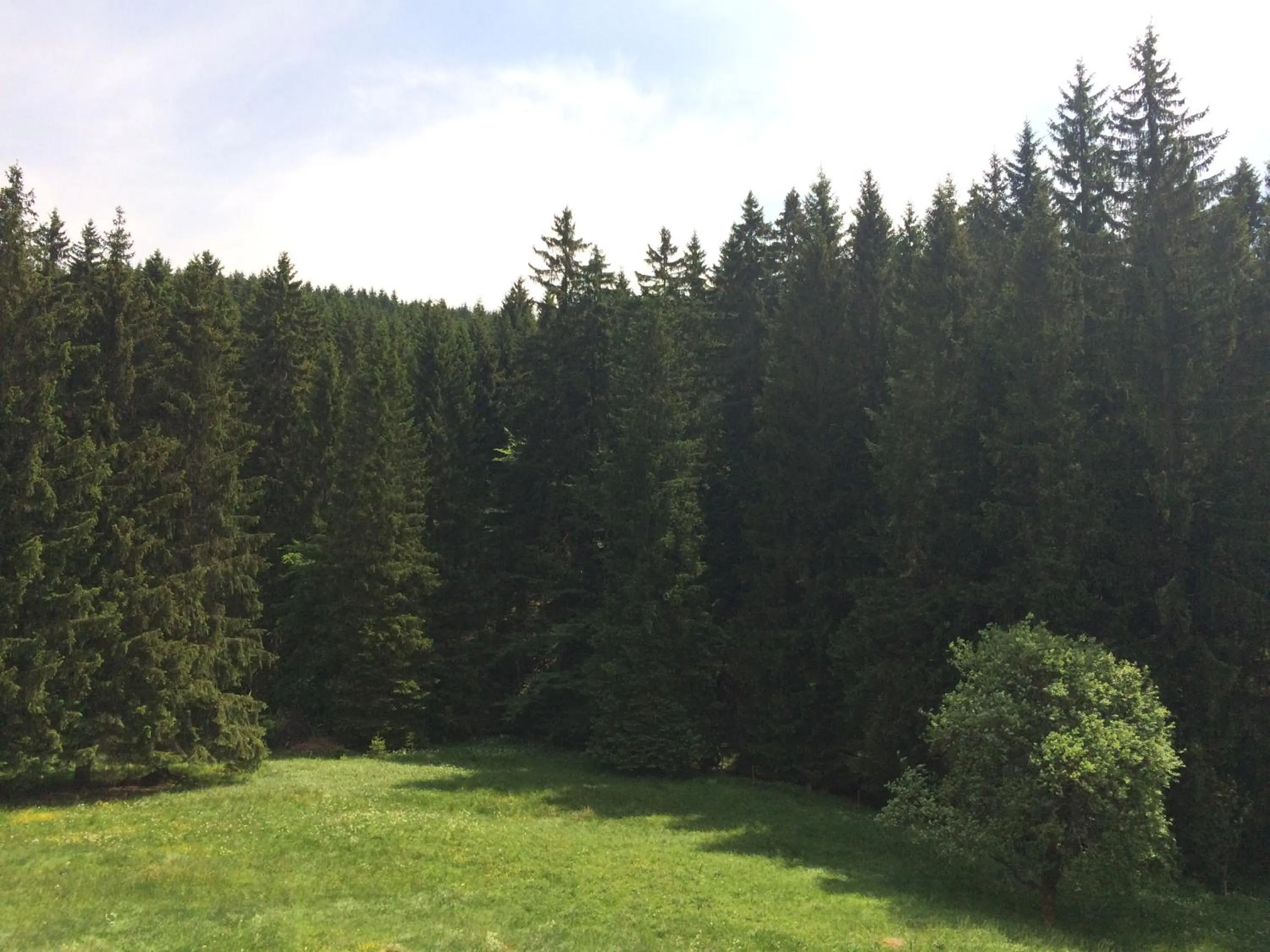 View (from property/room) in Appartements und Ferienhaus Gasthof Kanzlersgrund