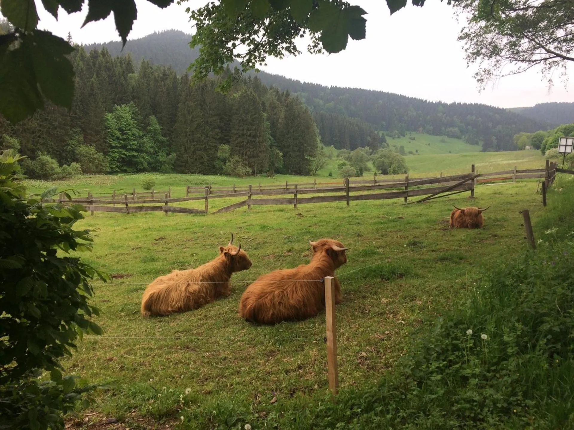 View (from property/room) in Appartements und Ferienhaus Gasthof Kanzlersgrund