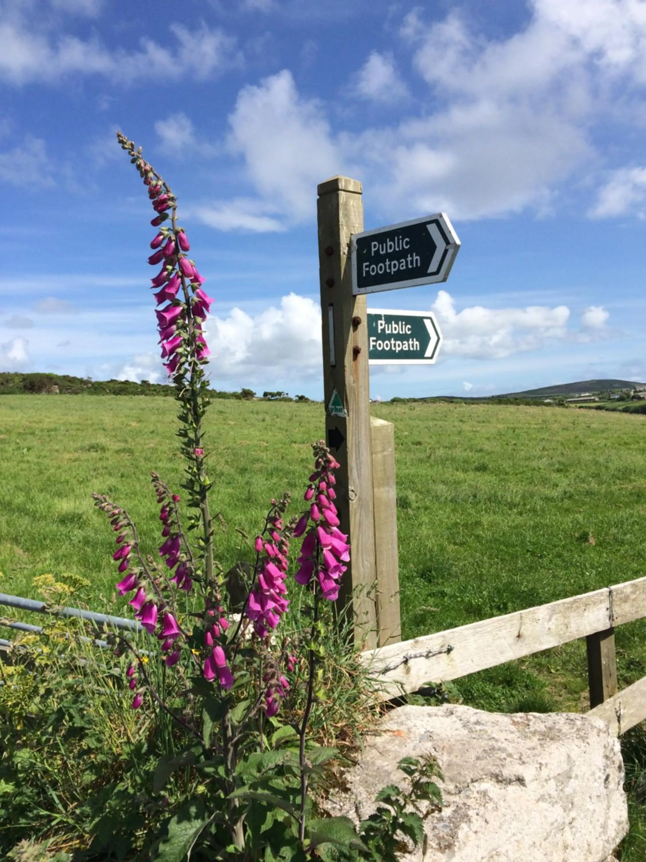 Natural landscape in The Old Post House B&B