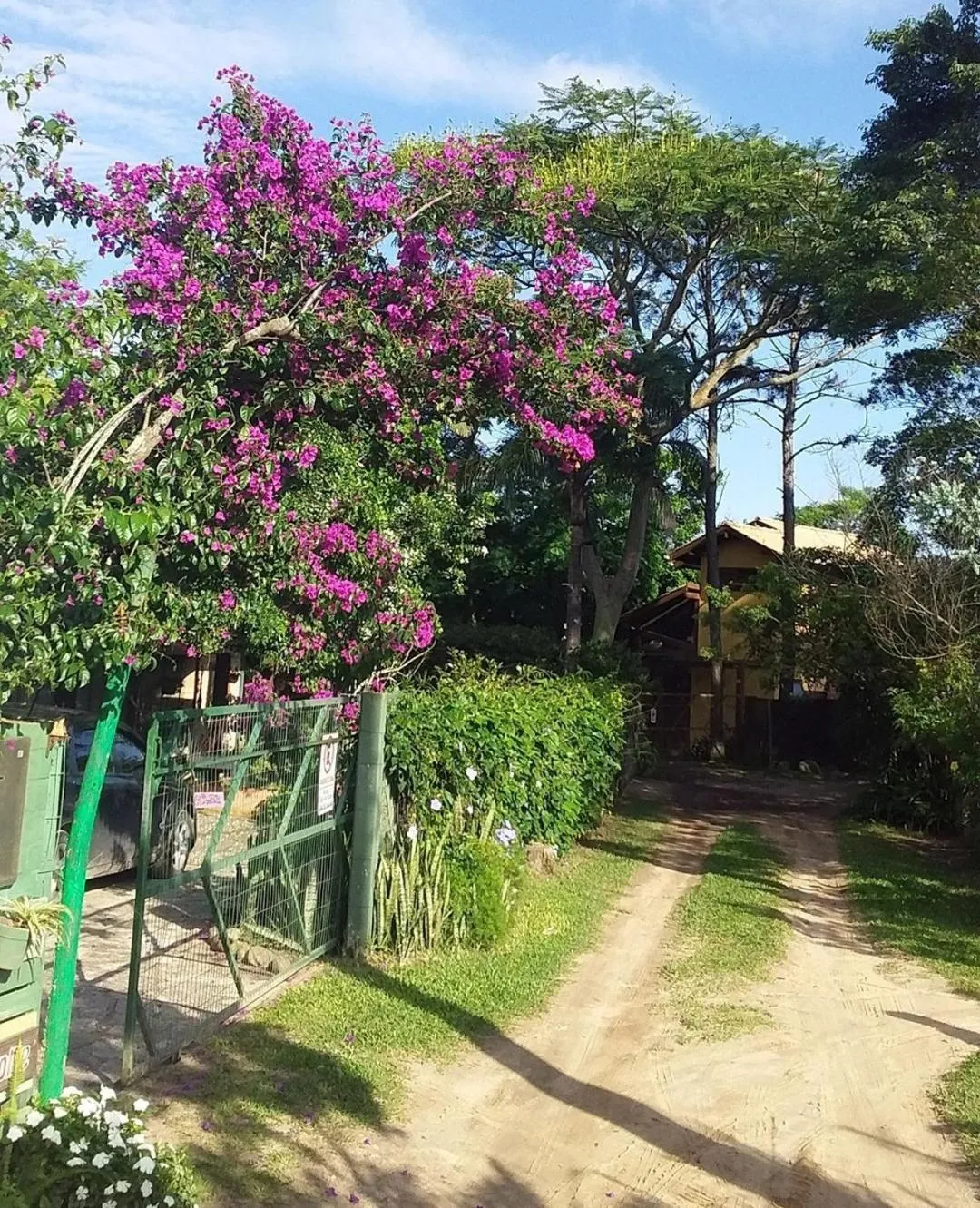 Natural landscape in Pousada Refúgio dos Pássaros