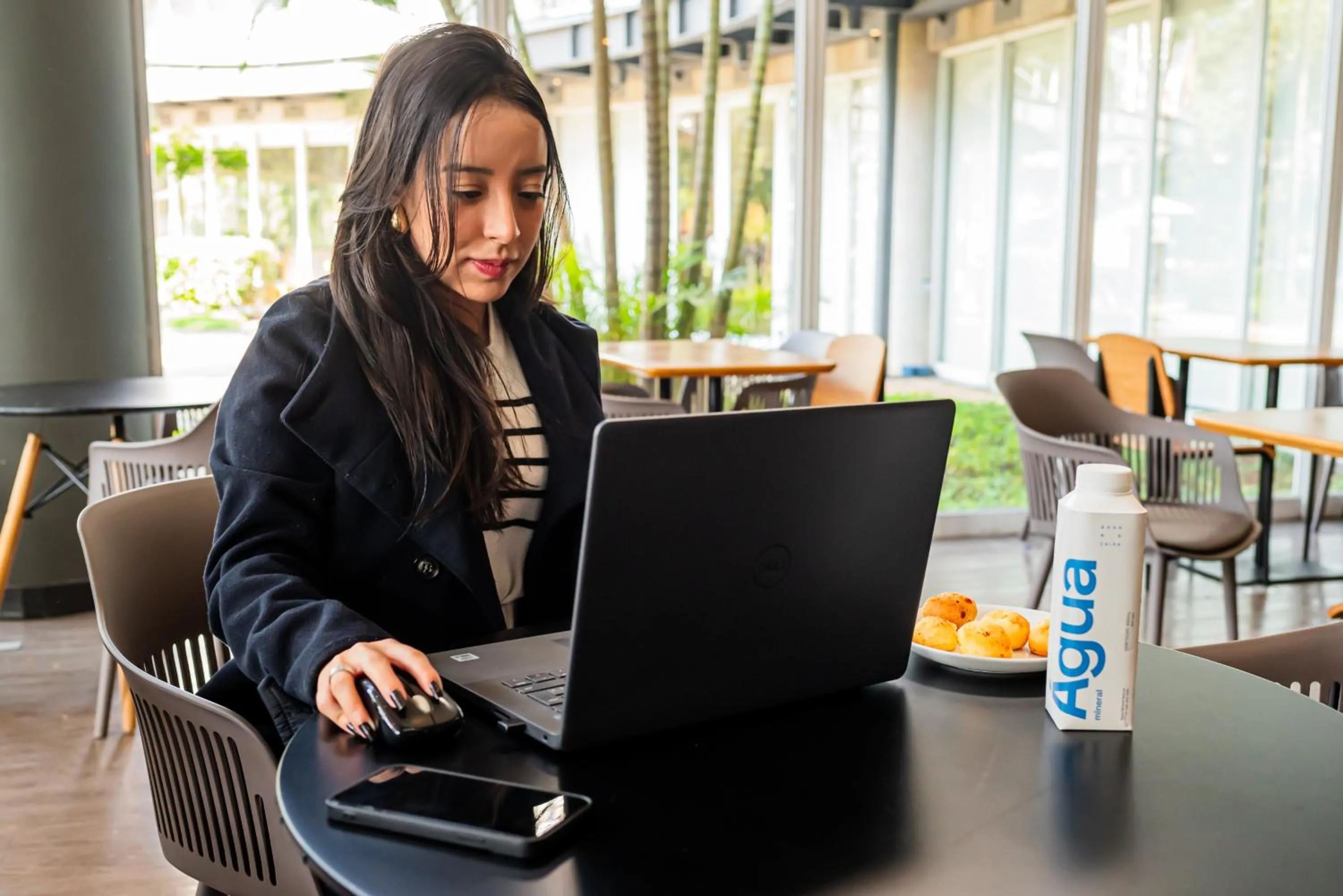 Business facilities in ibis Santo Andre