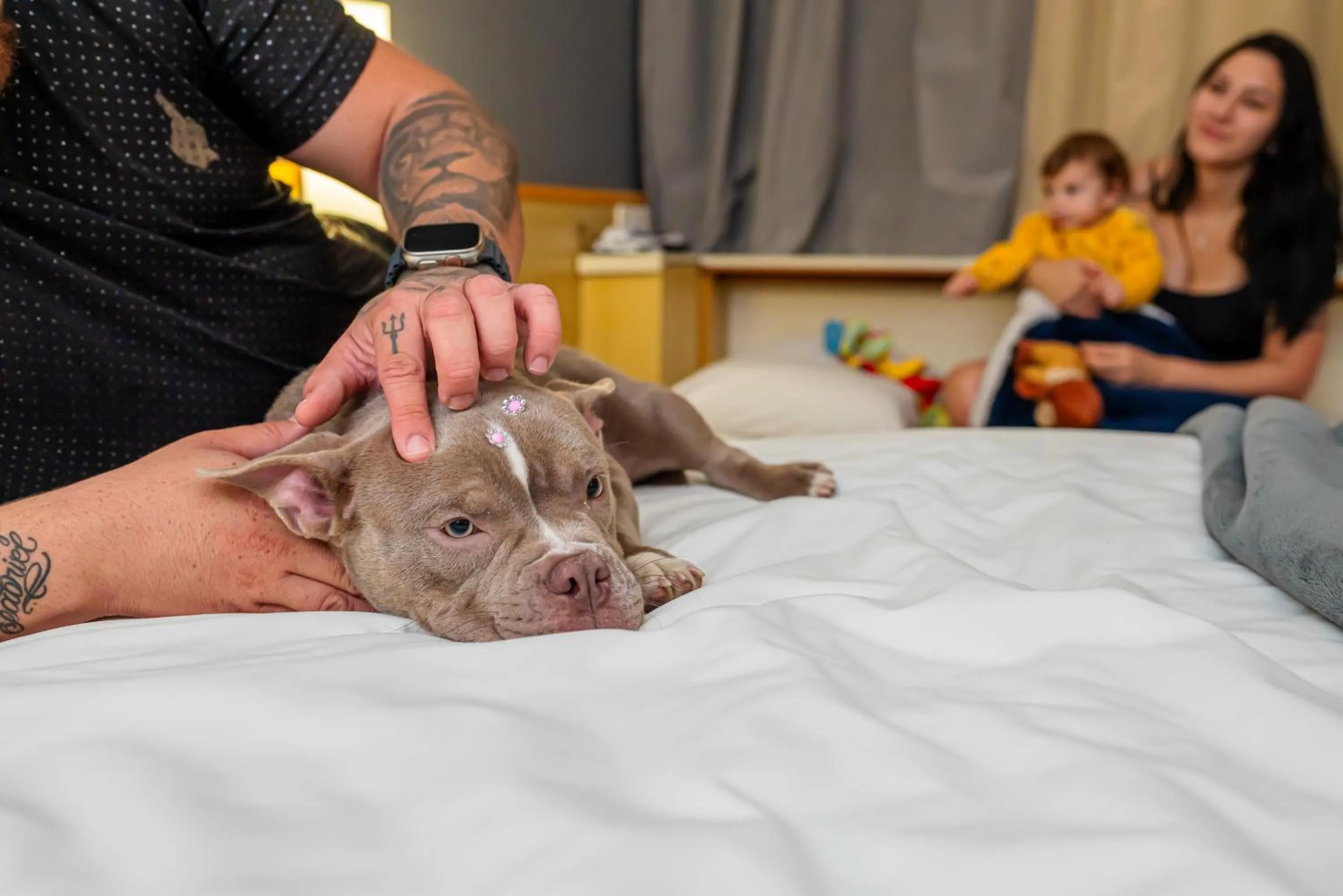 People in ibis Santo Andre