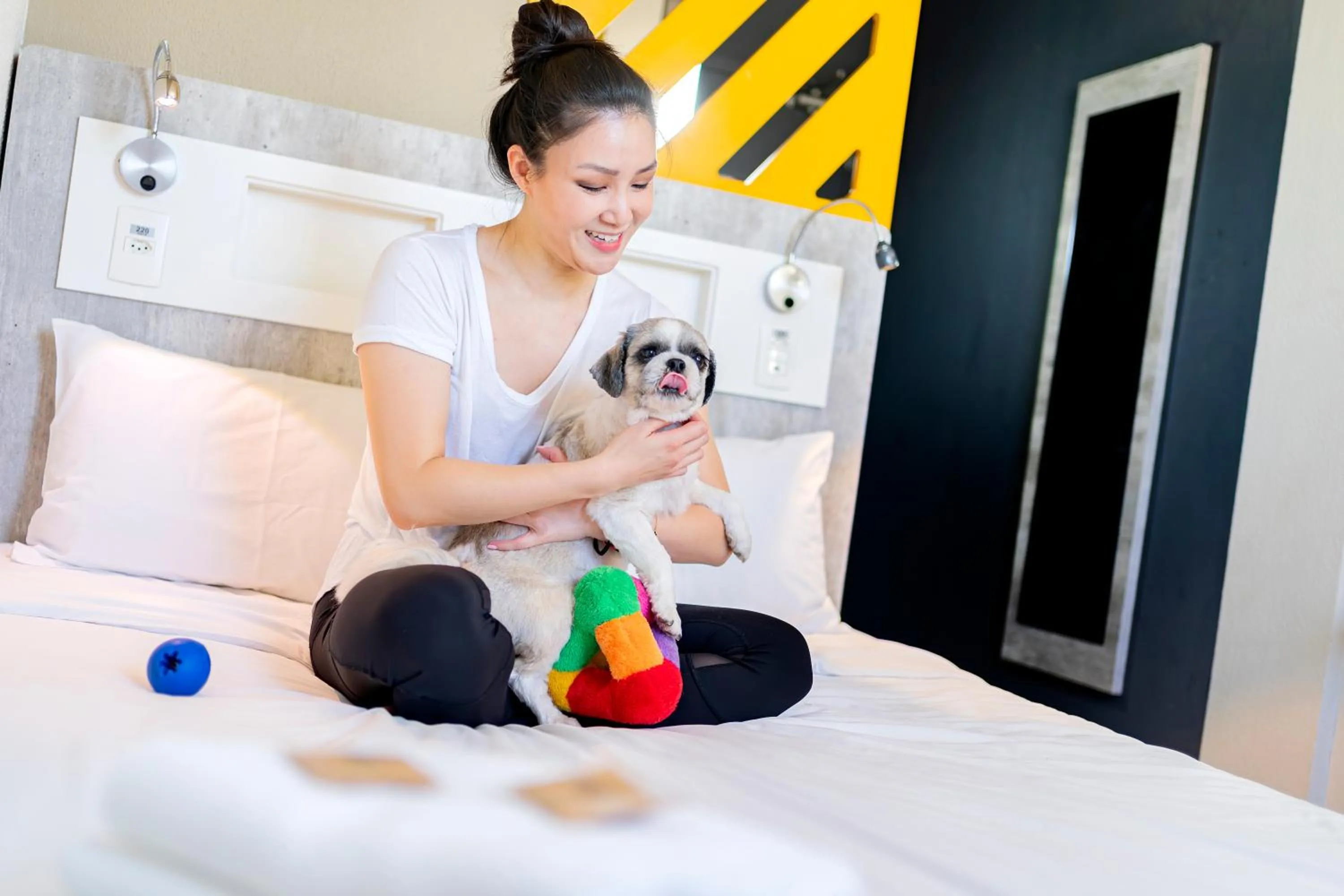 Pets, Bed in ibis budget SP Centro Sao Joao