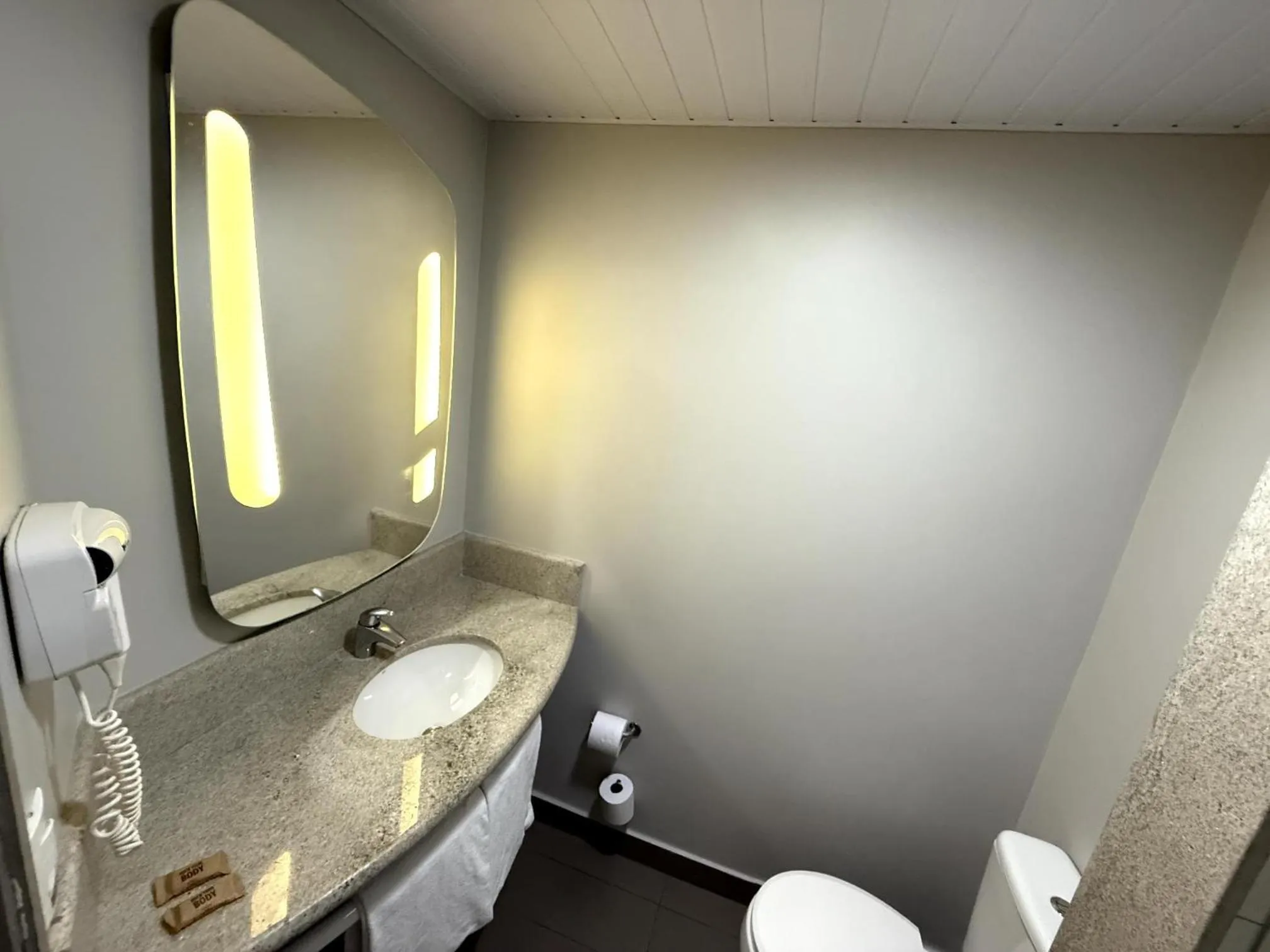 Toilet in ibis Sao Paulo Ibirapuera