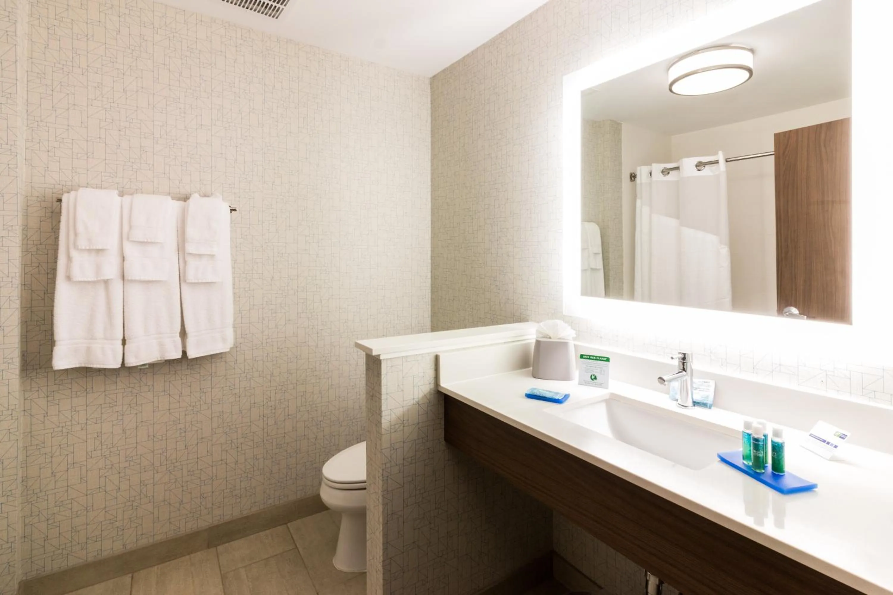 Bathroom in Holiday Inn Express - Villa Rica by IHG