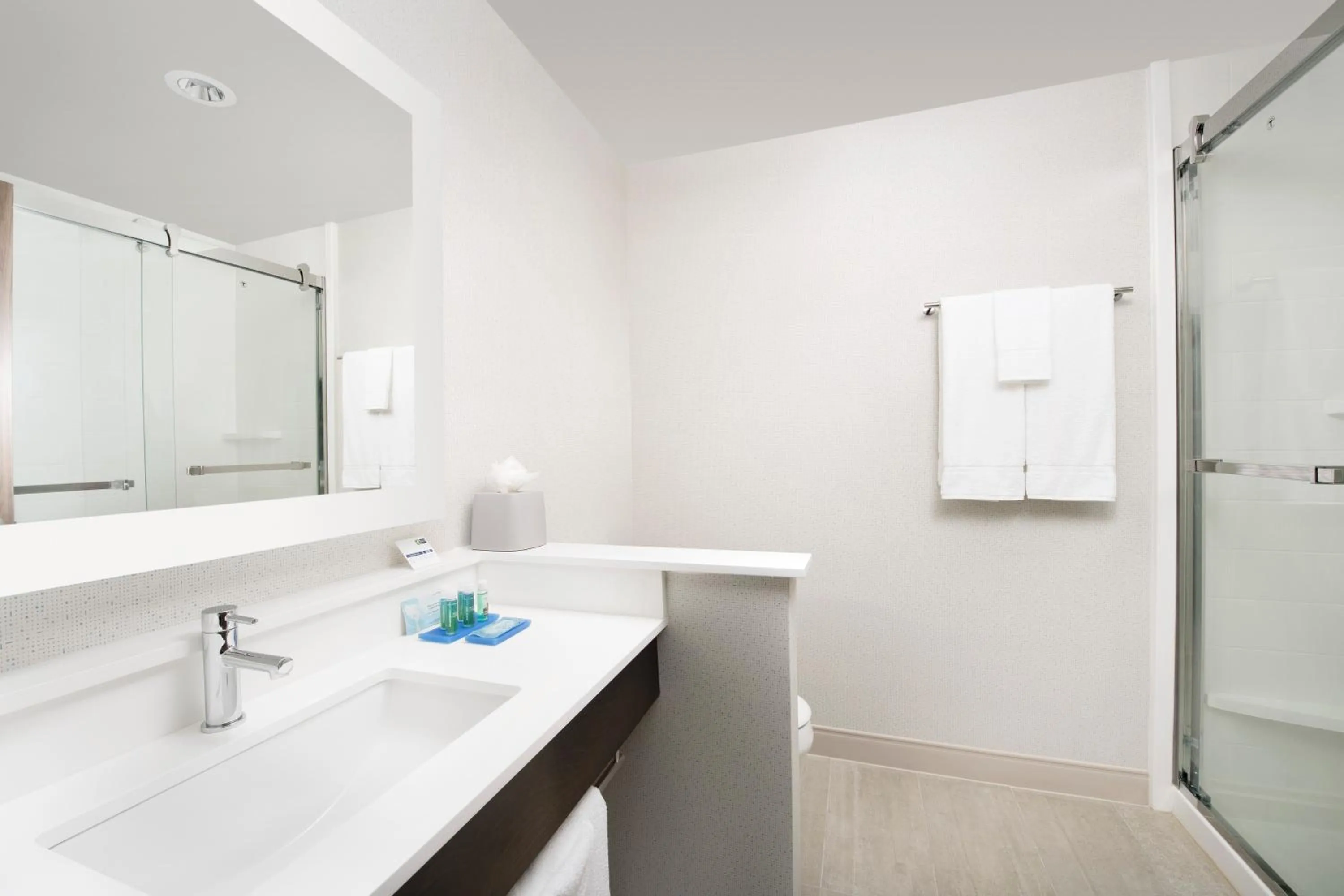 Bathroom in Holiday Inn Express & Suites San Antonio North-Windcrest by IHG