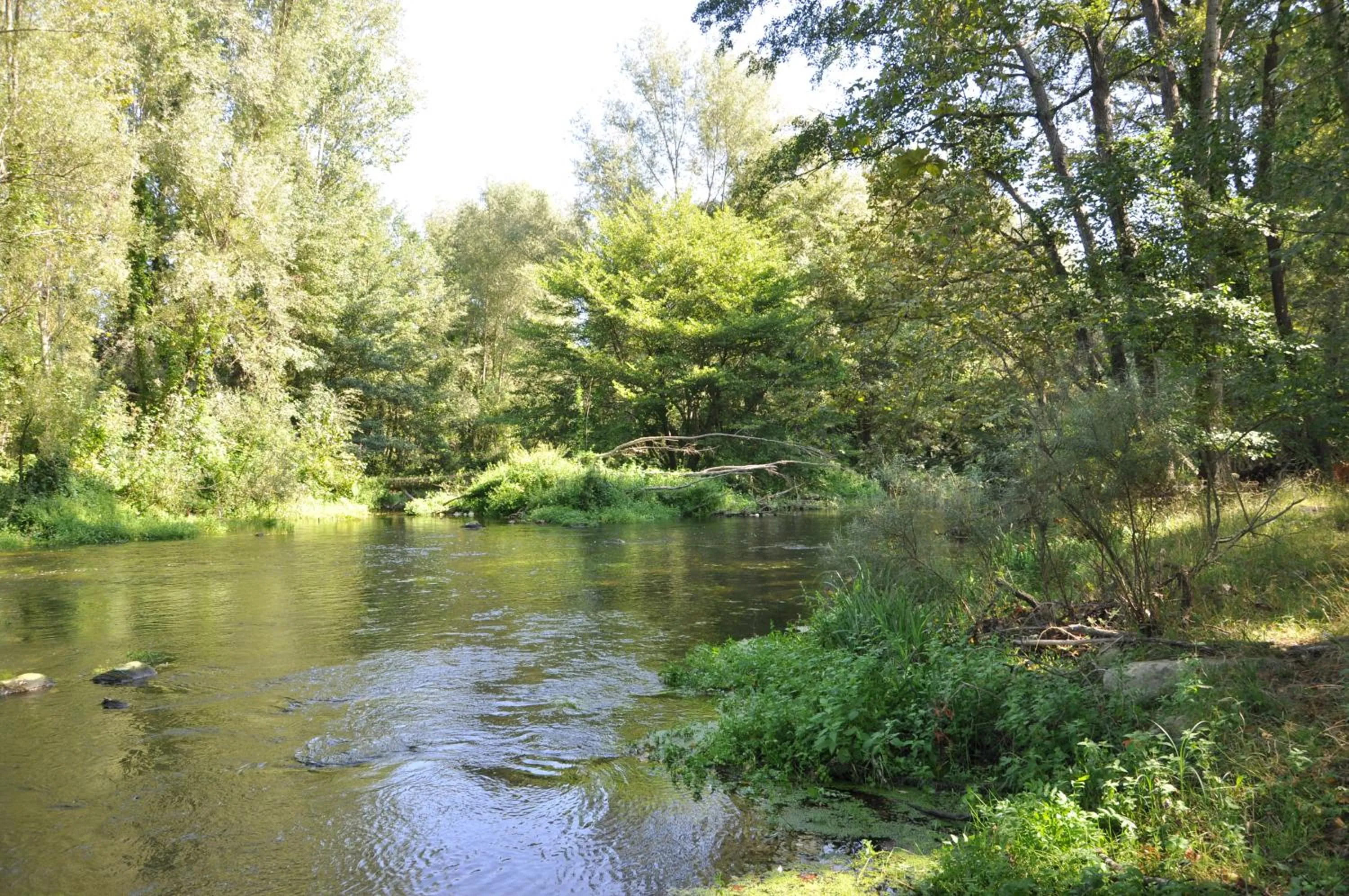 Natural landscape in Casa rural Can Jepet