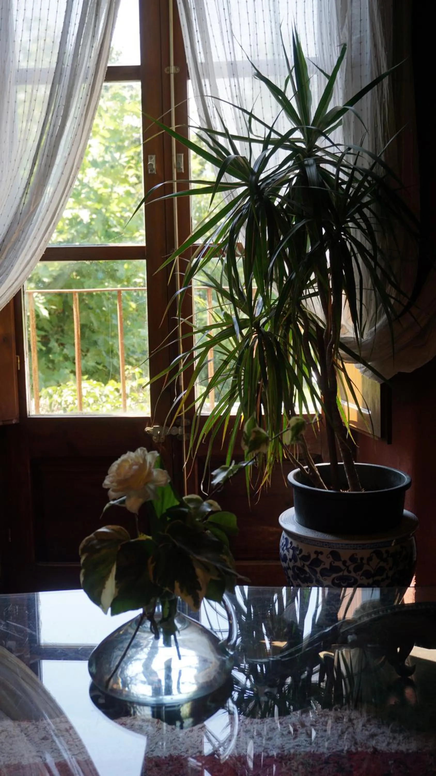 Living room in Casa rural Can Jepet