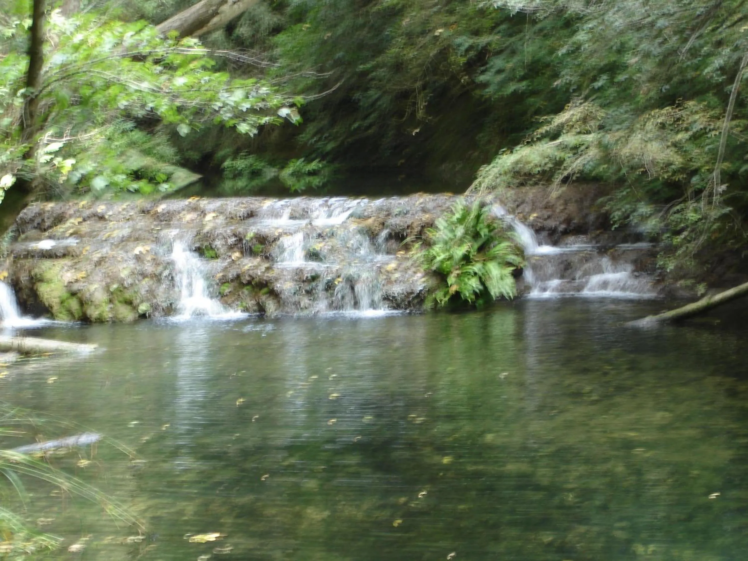 Natural landscape in Casa rural Can Jepet